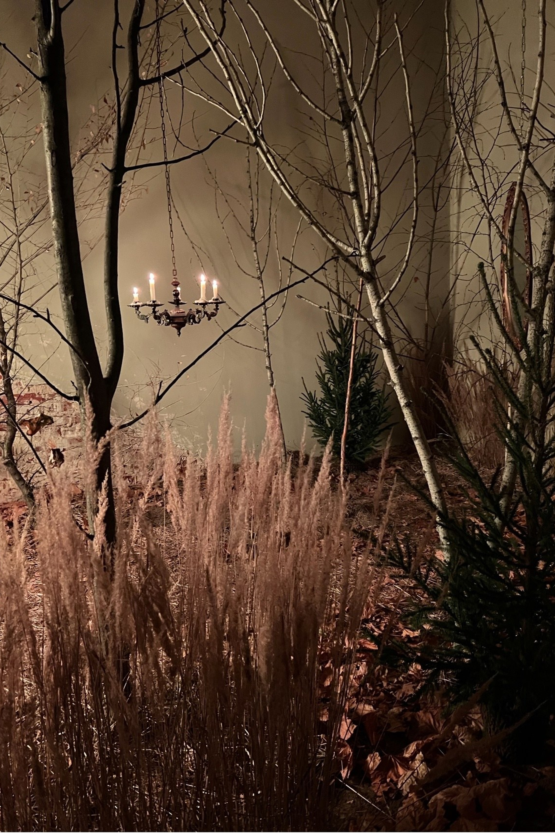 Студия Лес — Зал Лес для предметной съемки НН|Sale Easy