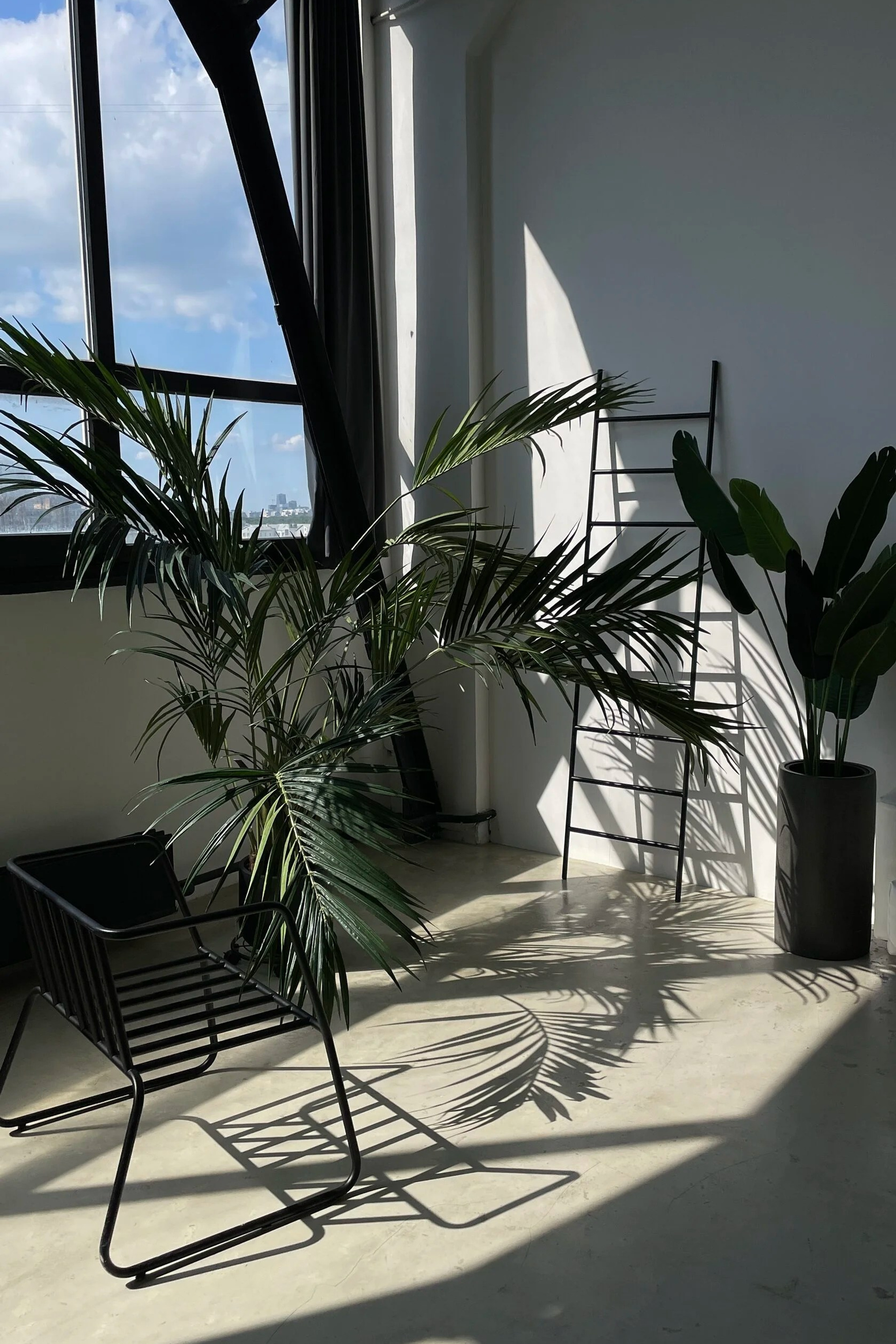 Студия Base — Зал MUSE для предметной съемки Москва|Sale Easy