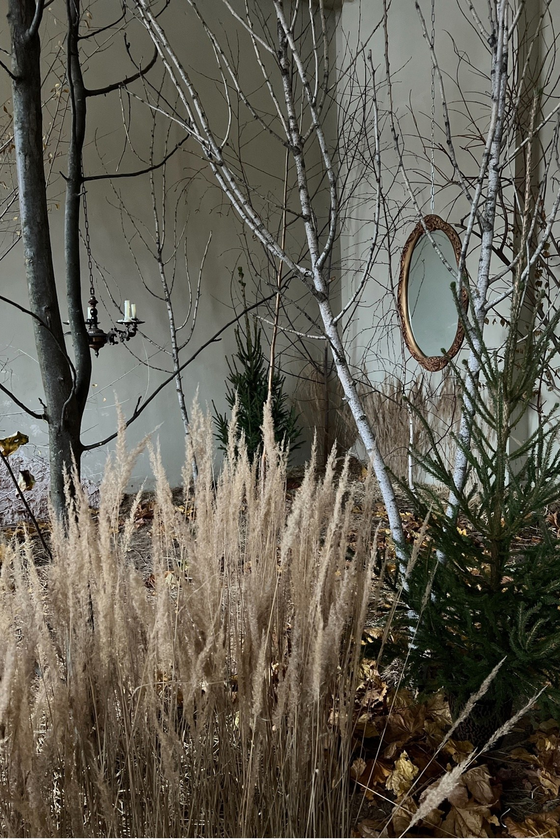 Студия Лес — Зал Лес для предметной съемки НН|Sale Easy