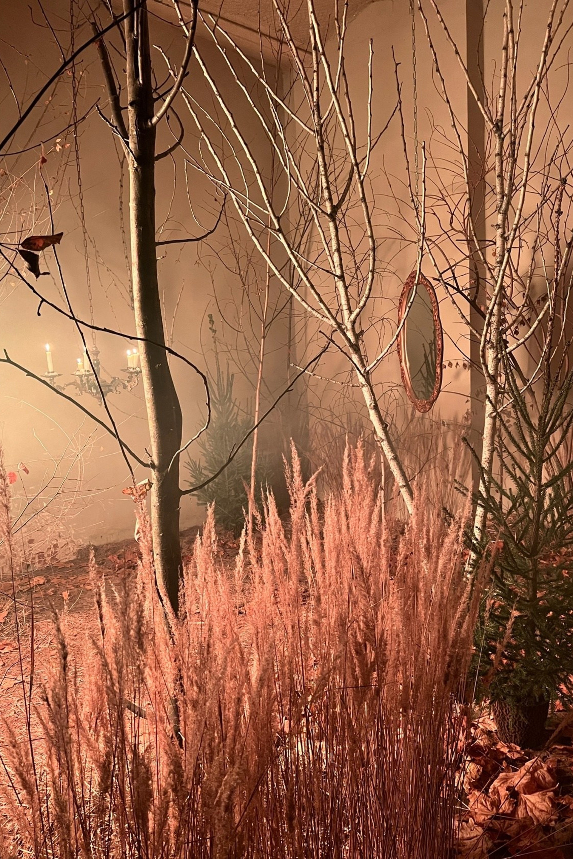 Студия Лес — Зал Лес для предметной съемки НН|Sale Easy