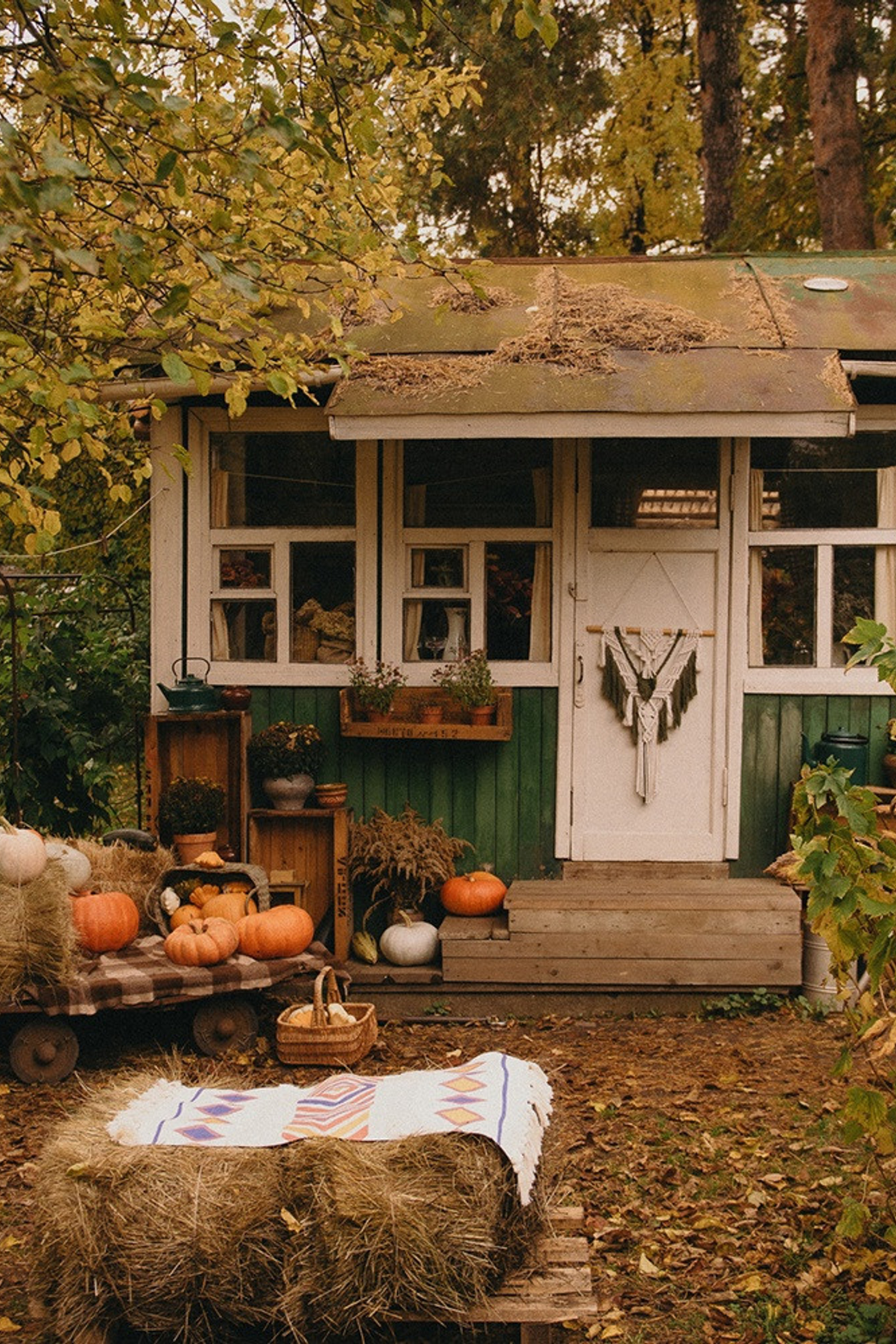 Студия Dom_Ellie для предметной съемки Пушкино |Sale Easy