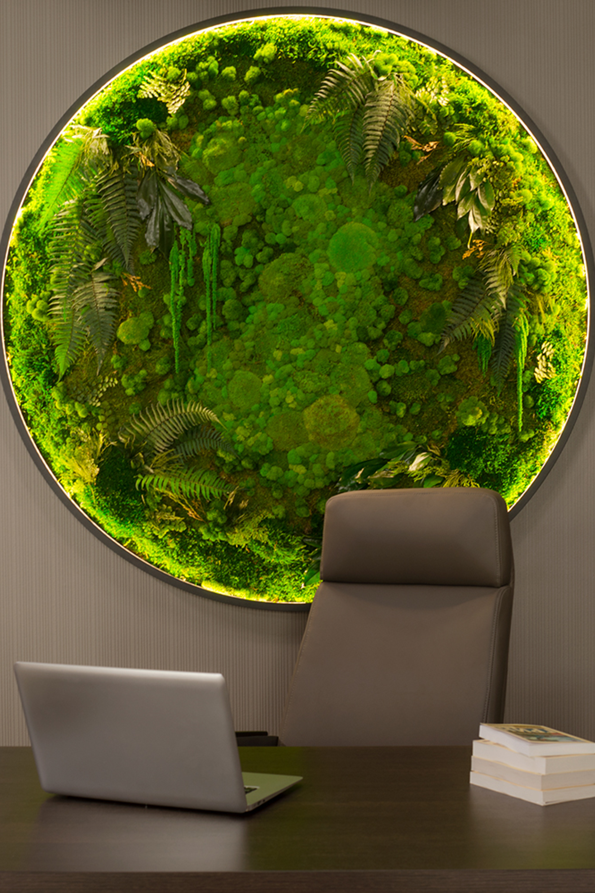 Студия для предметной съемки CROSS—Вольта в Москве | Sale Easy