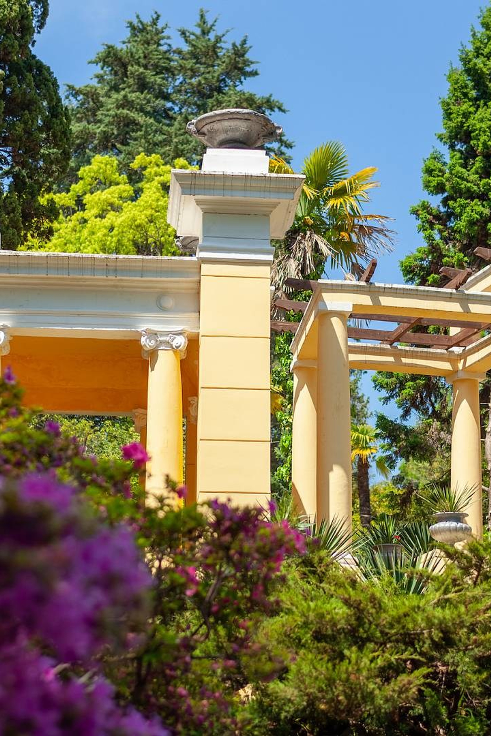 Сочинский дендрарий