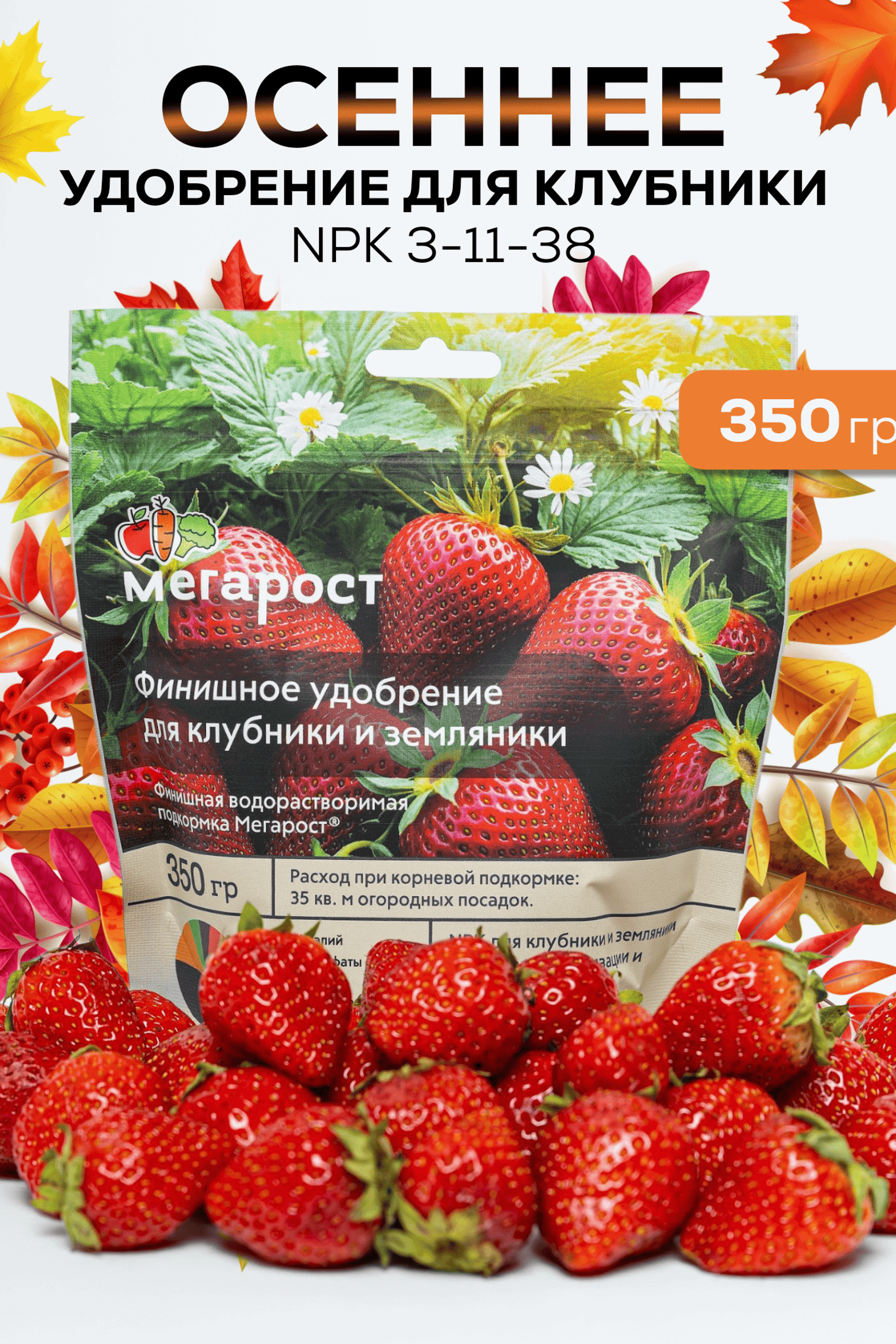 Портфолио.Инфографика для интернет магазинов | Sale Easy