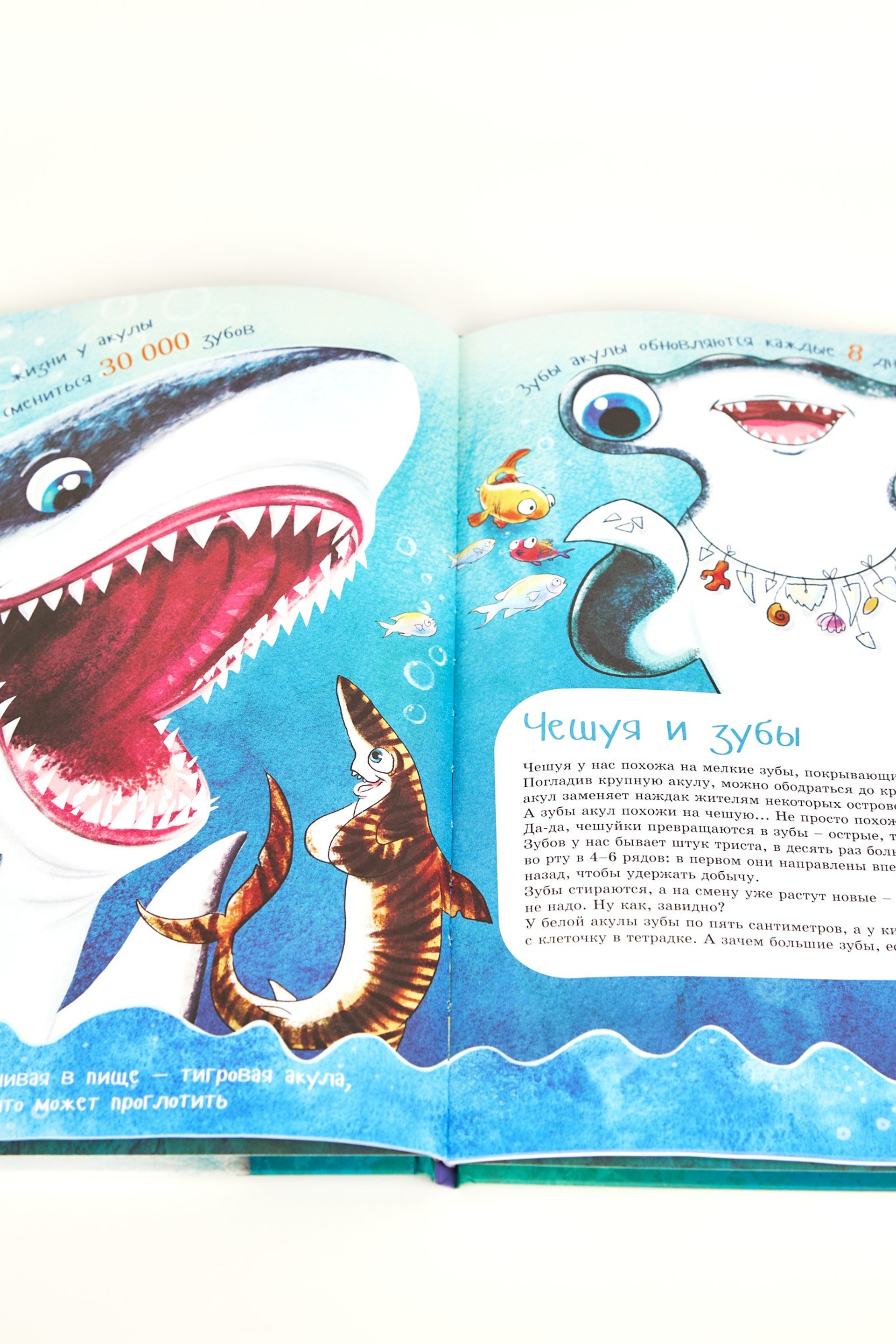 Московский зоопарк