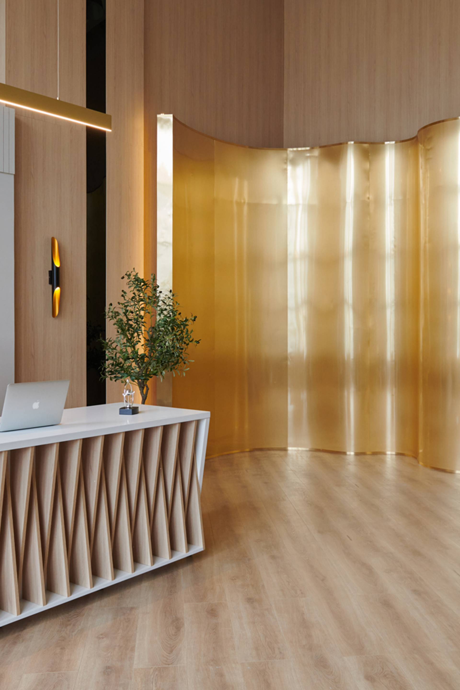 Студия для предметной съемки CROSS — Феникс Москва | Sale Easy