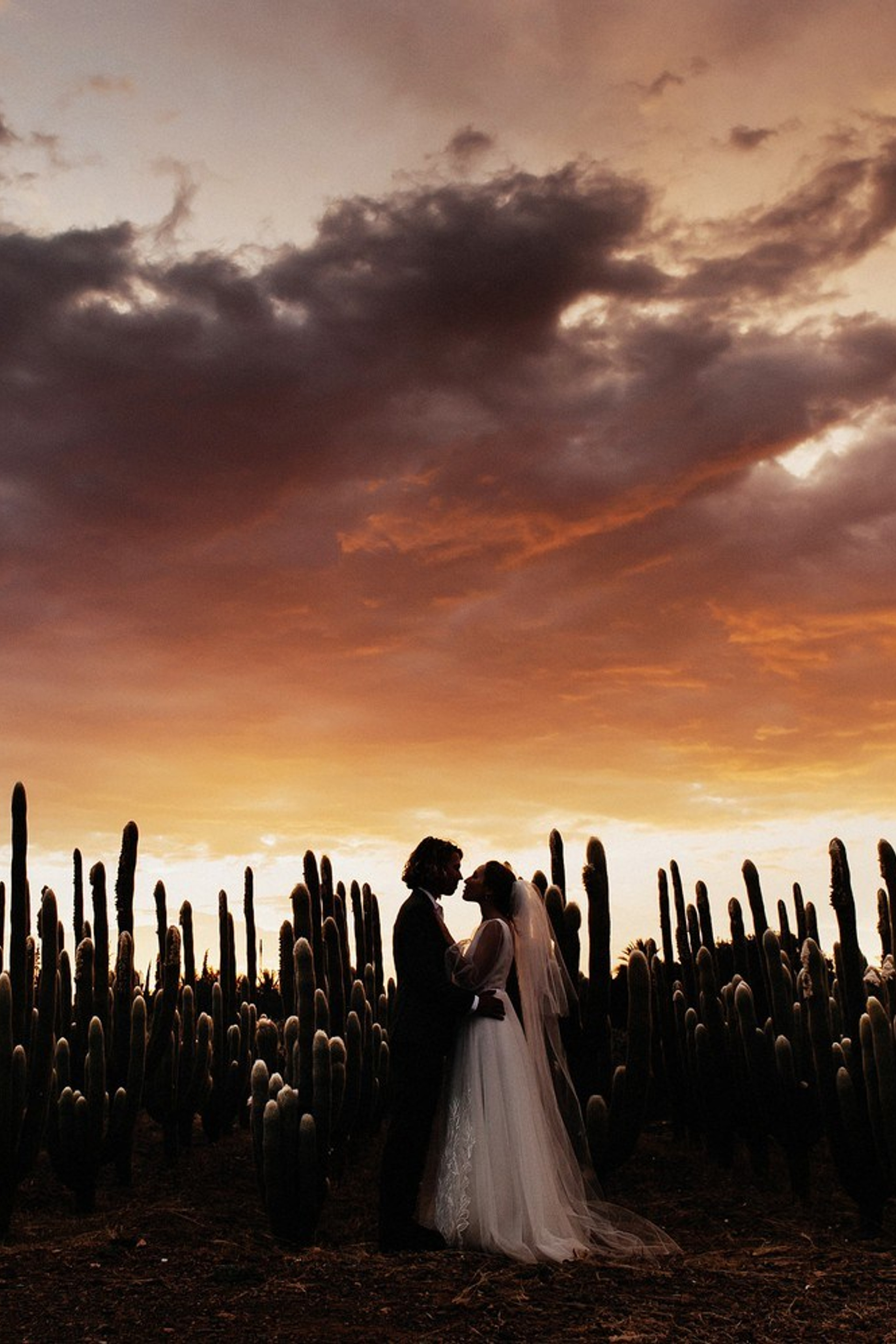 Kevin+Jenny MOROCCO