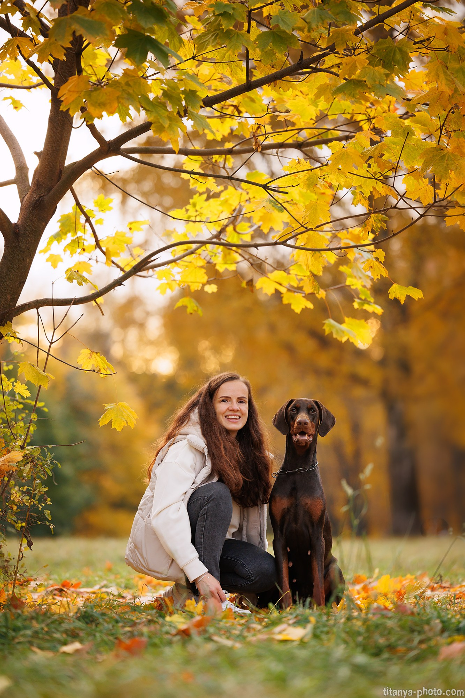 Осторожно, превышение уровня милоты!. Фотограф собак, фотограф-анималист Аня Титова (Titanya). Москва