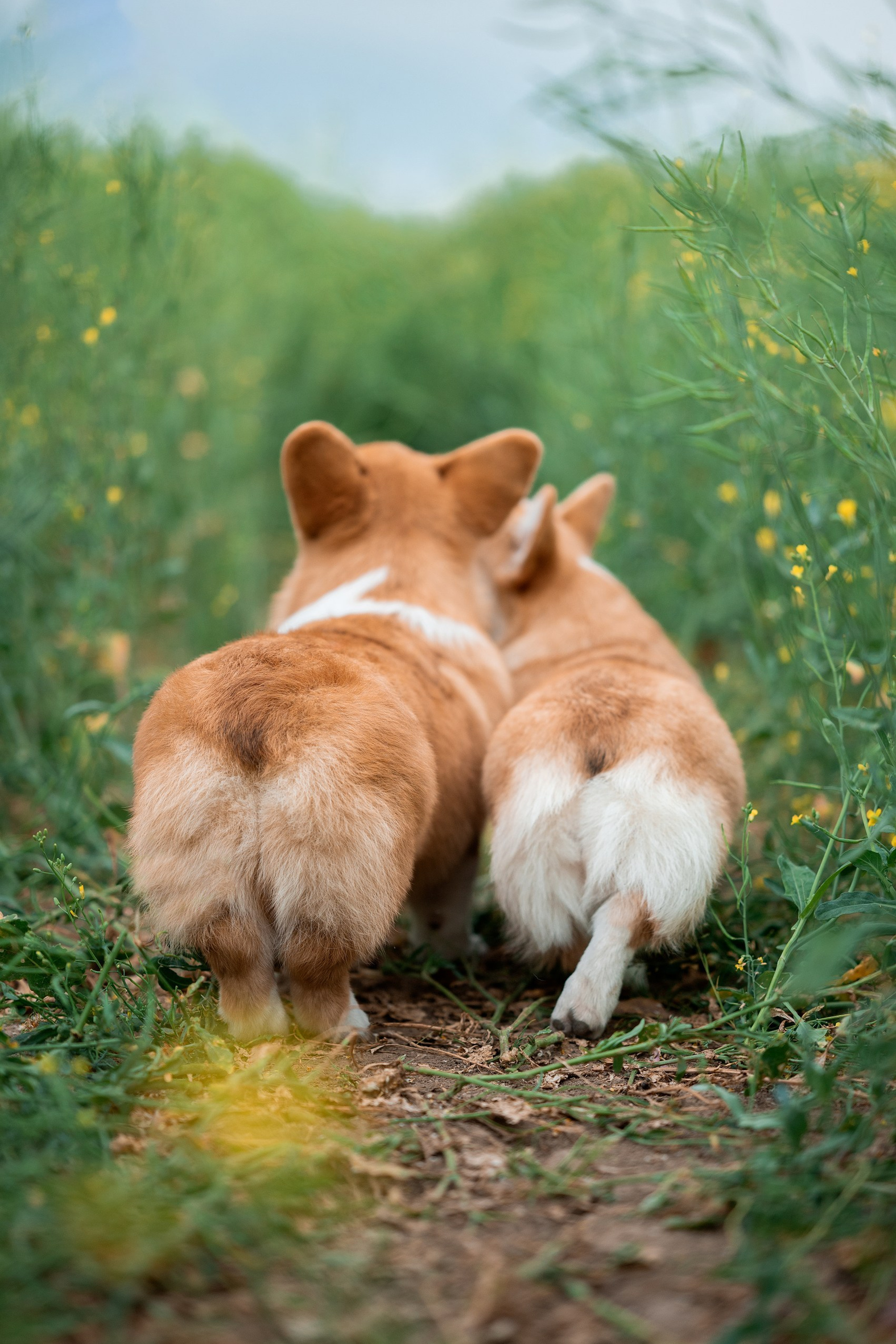 Отзывы. Творческий фотограф Вологда