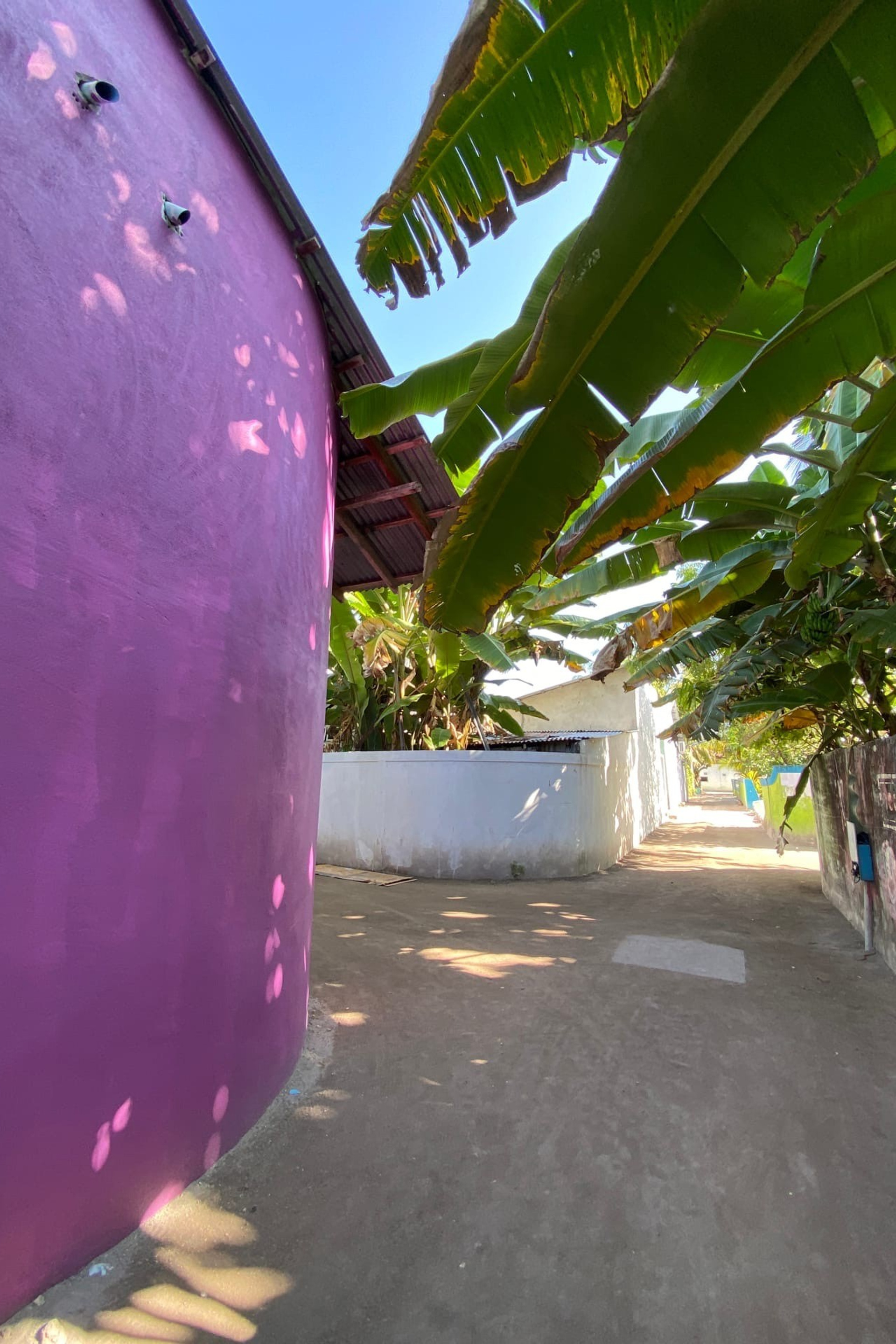 Архитектура