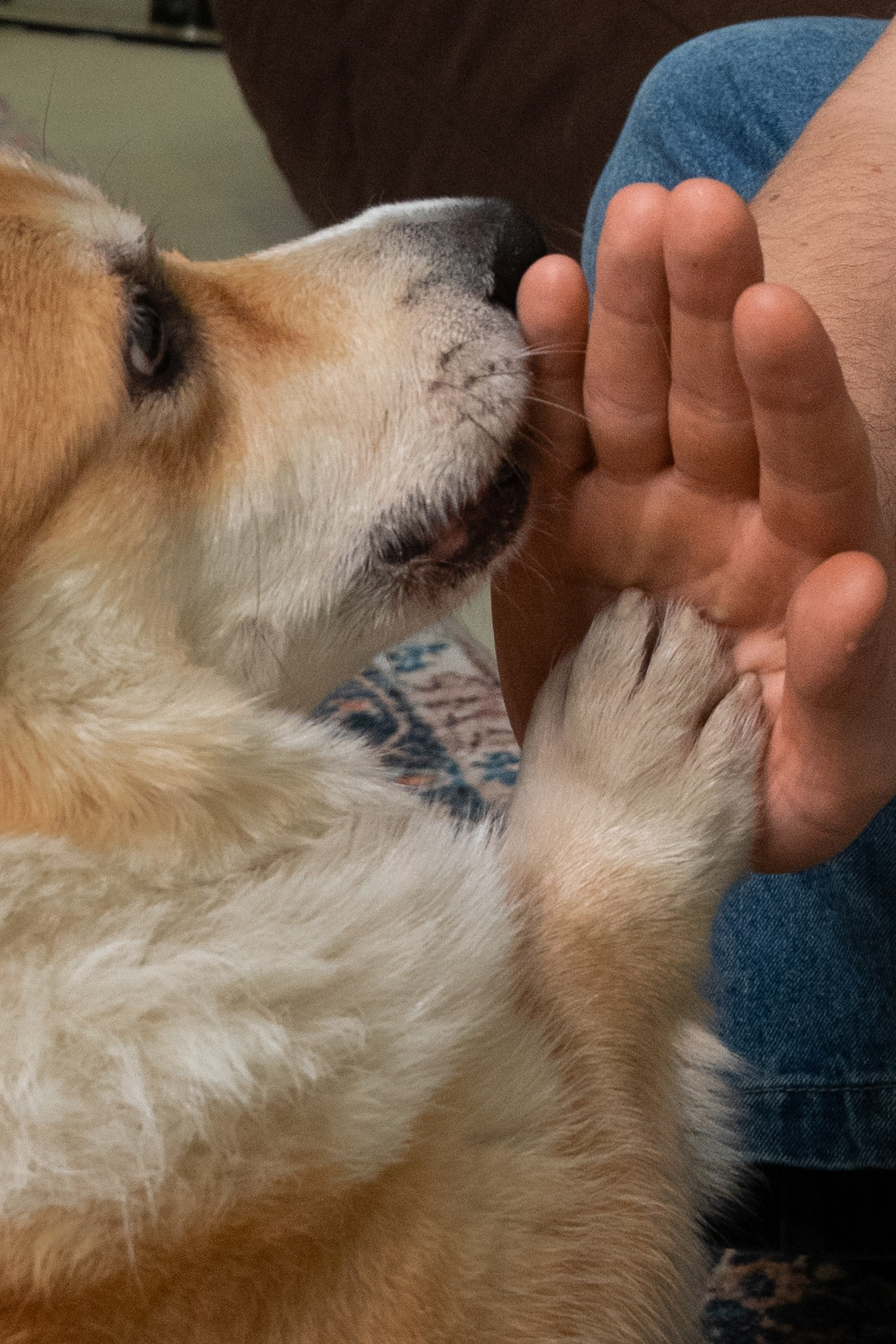 Отзывы. Женский фотограф в Санкт-Петербурге Александра Гончарова