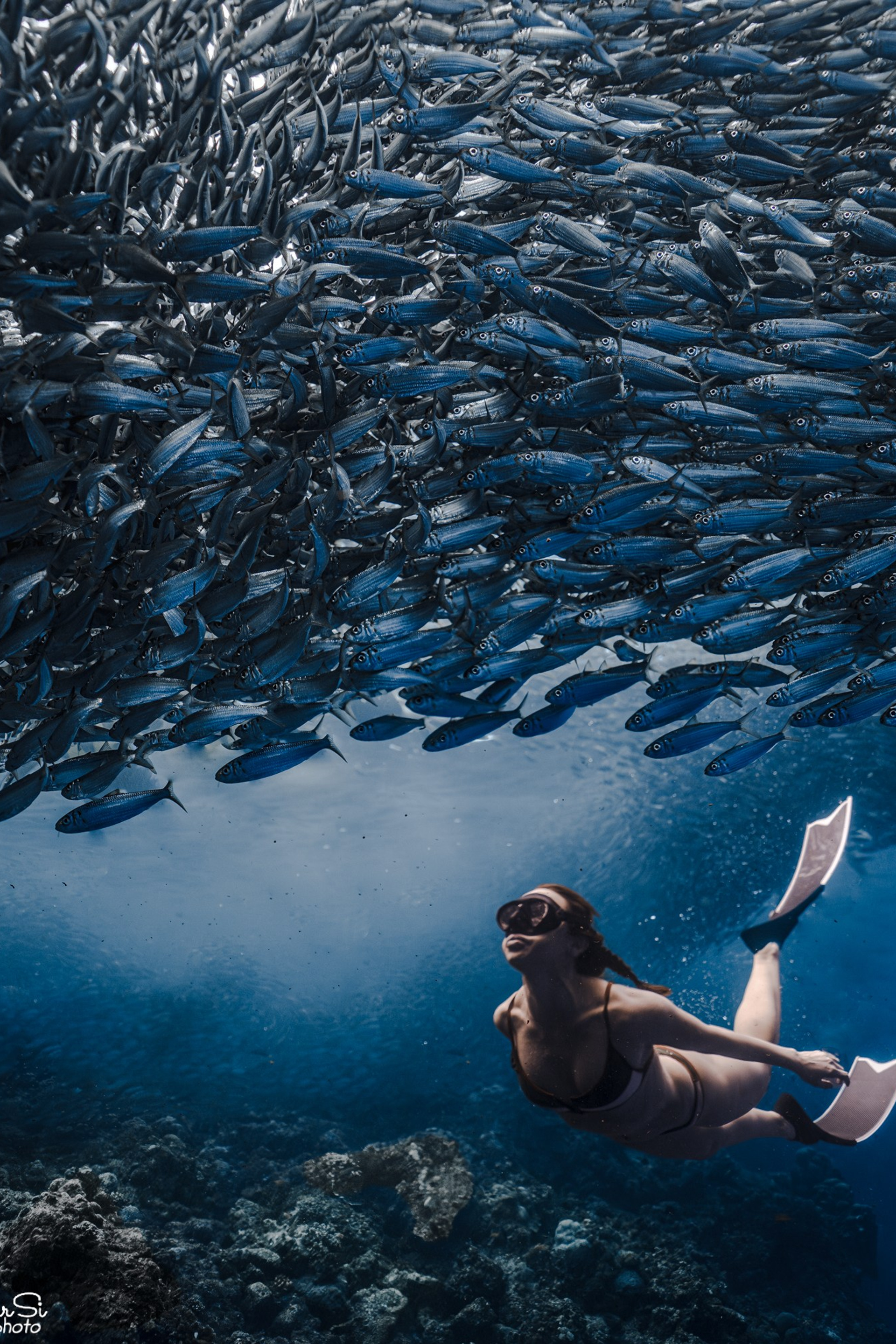 Фотосессия с сардинами (+каньон)