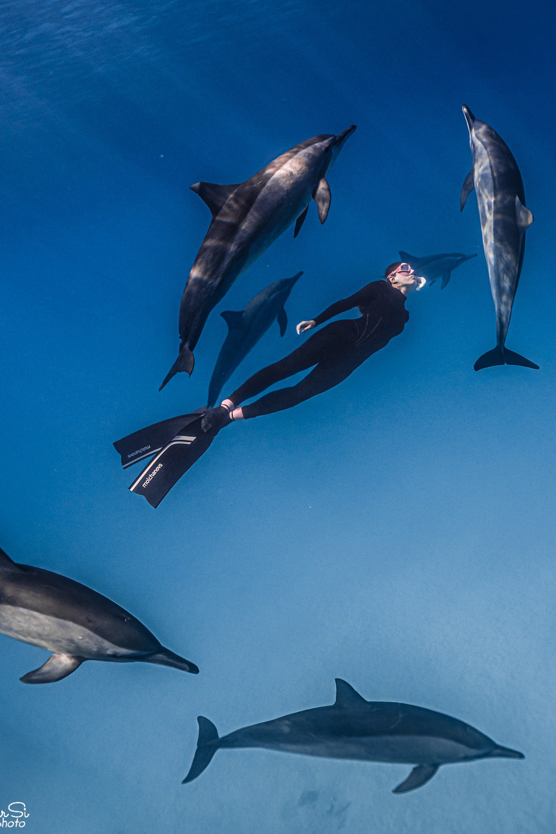 Фотосессия с дельфинами