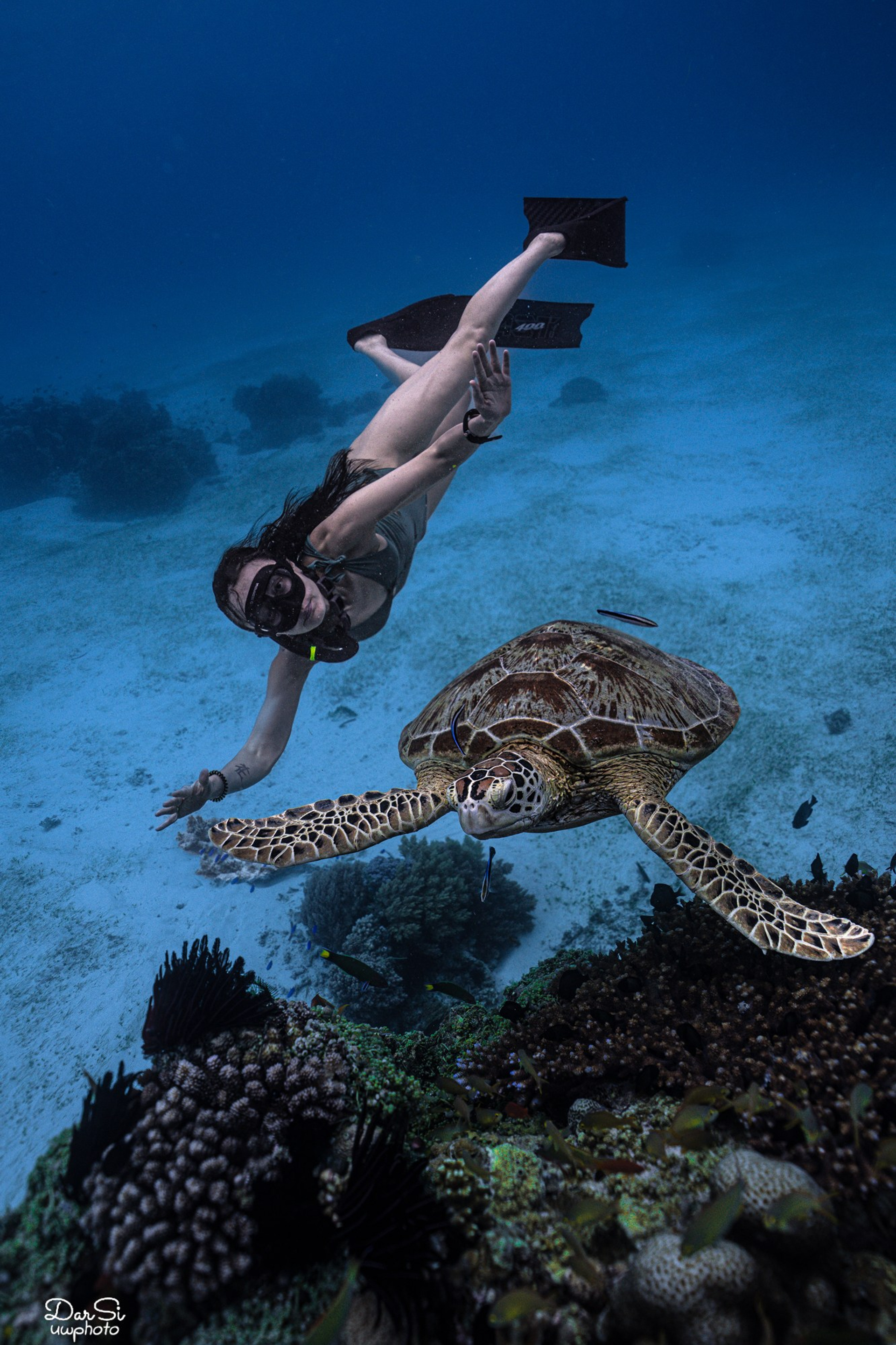 Фотосессия с черепахами