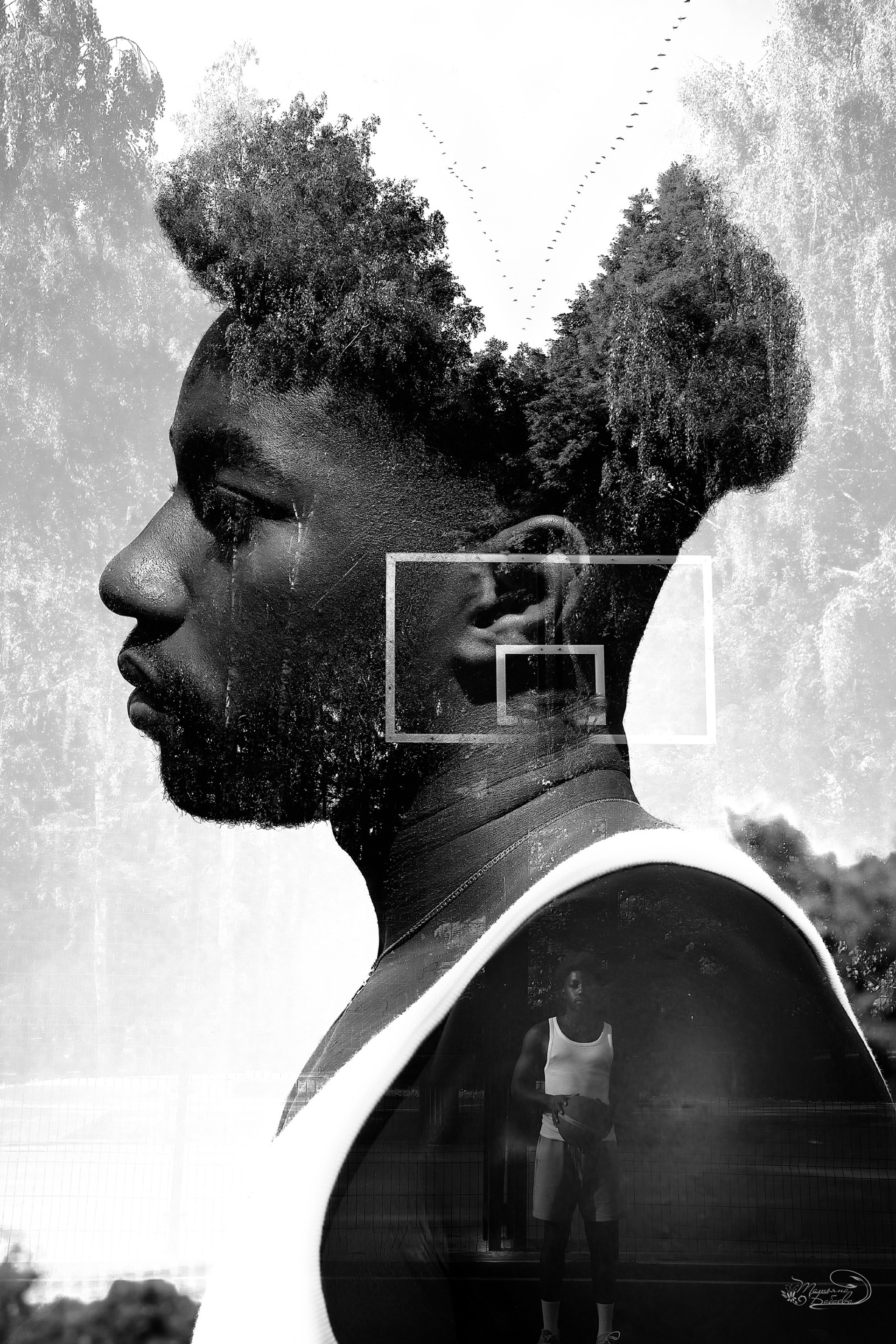 Баскетбол Фабиан