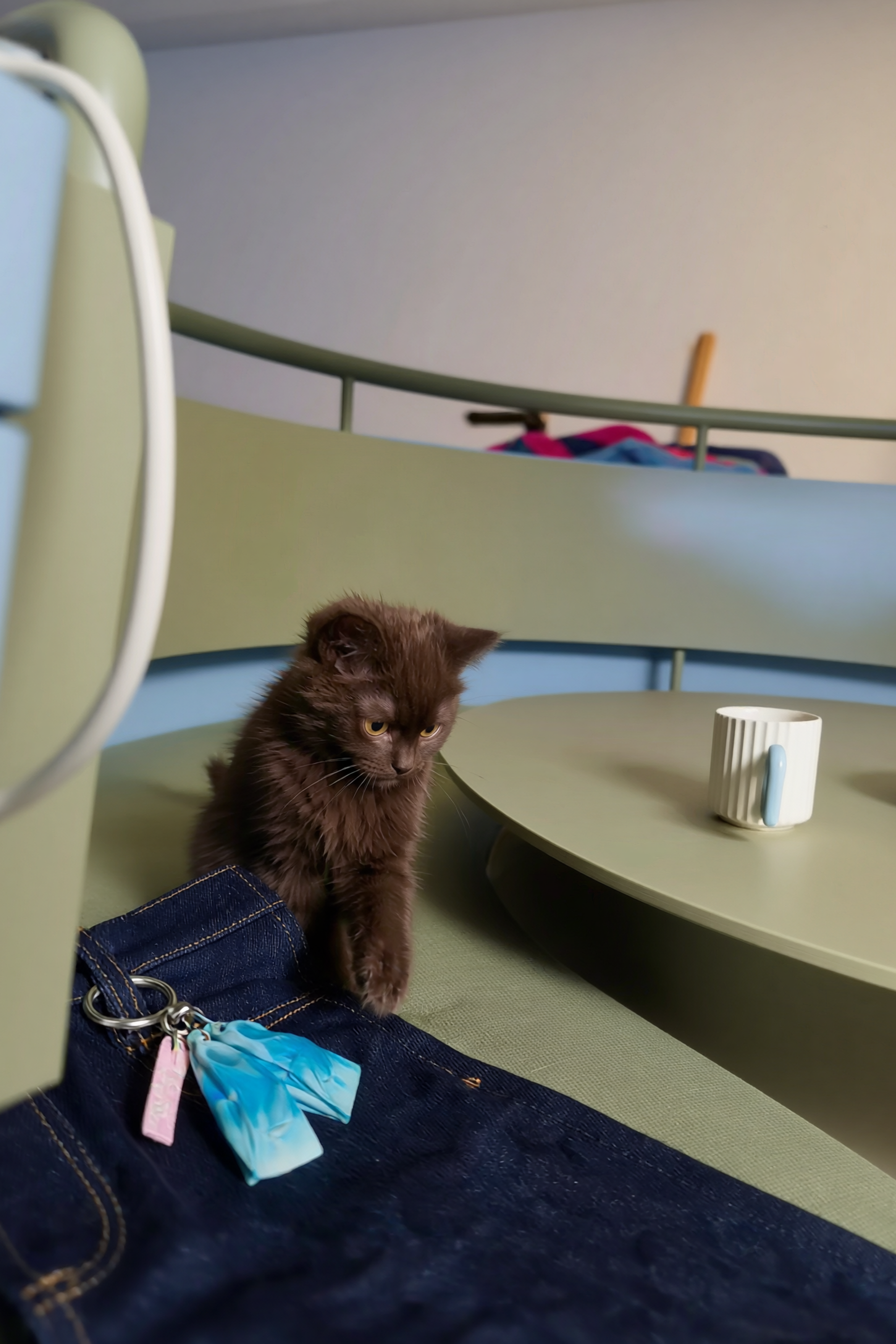 Работа для бренда Recycle Objects. Задача была в разработке креативной раскладки  на мой вкус