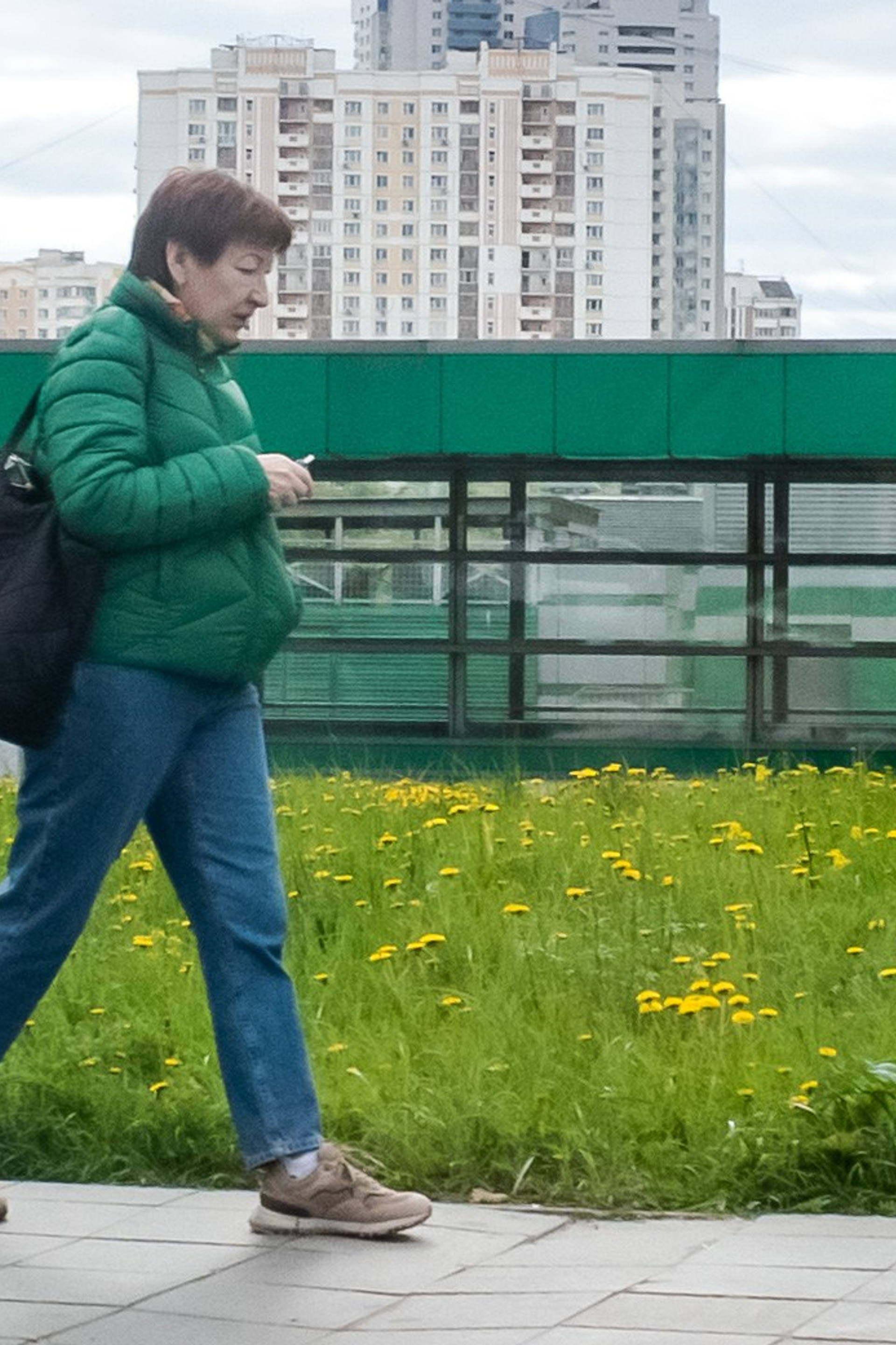 Мимикрия (Городской камуфляж)