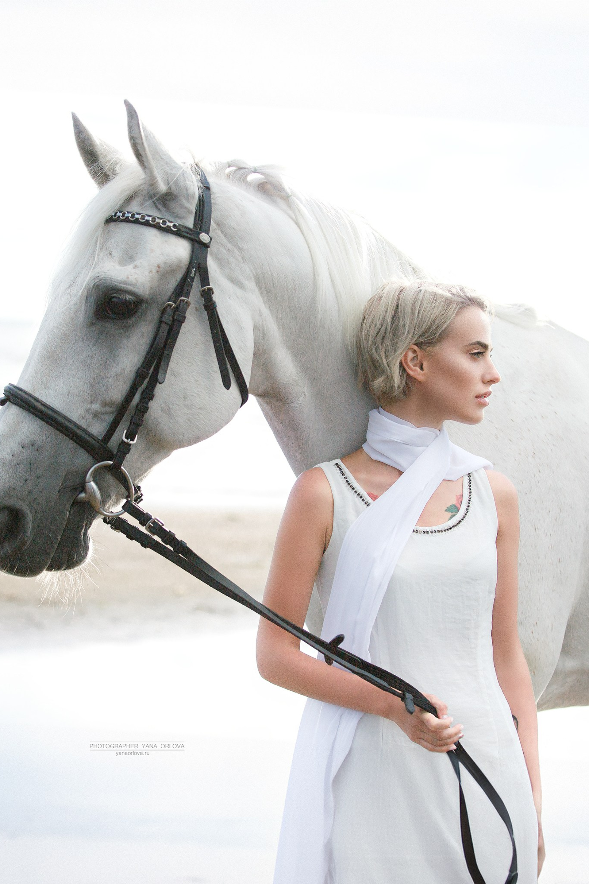 Фотосессия с лошадьми в СПб. Конный фотограф Яна Орлова. Истории. Конный фотограф Яна Орлова. Фотосессии с лошадьми в Санкт-Петербурге