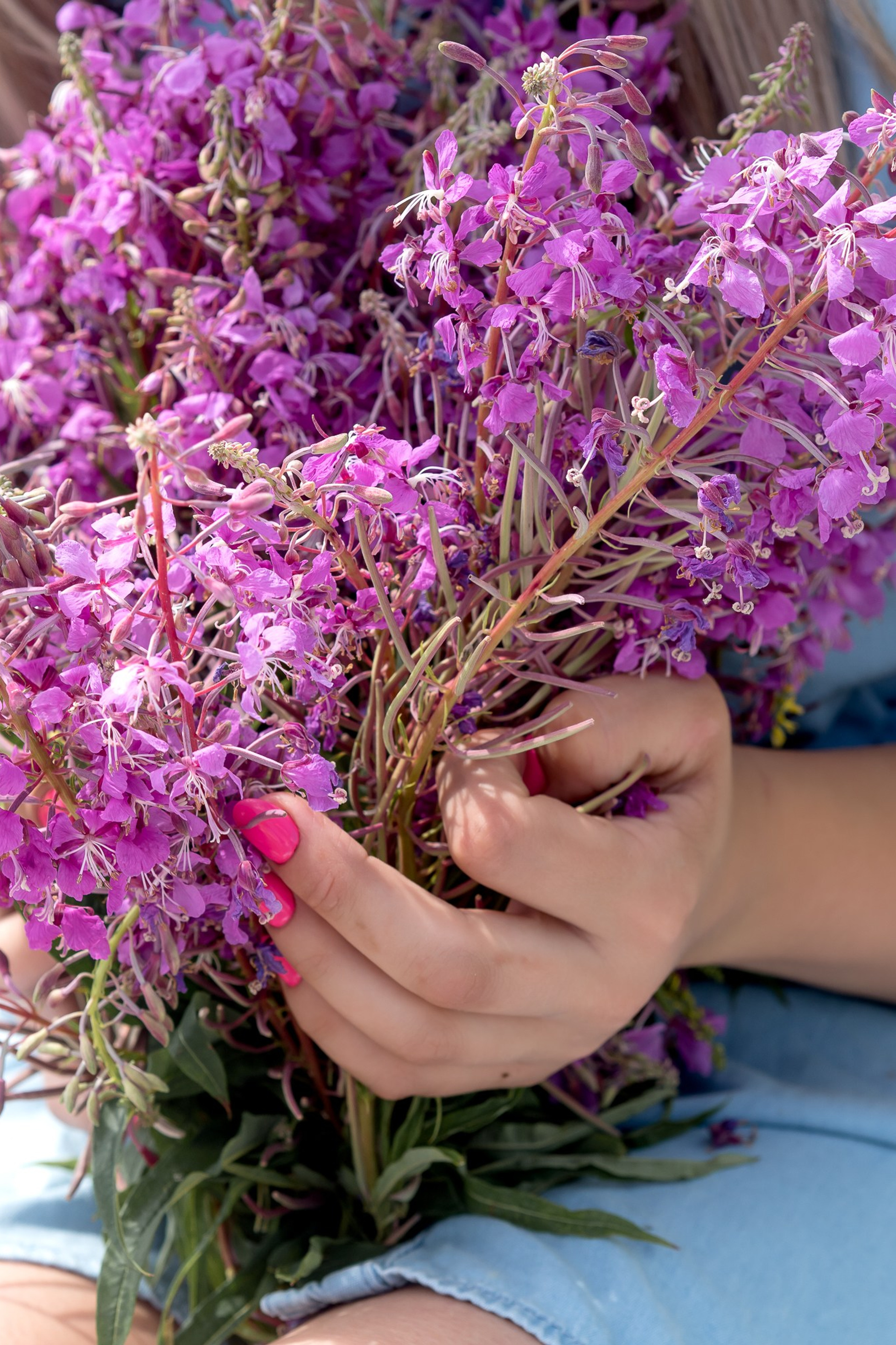 Летняя сказка