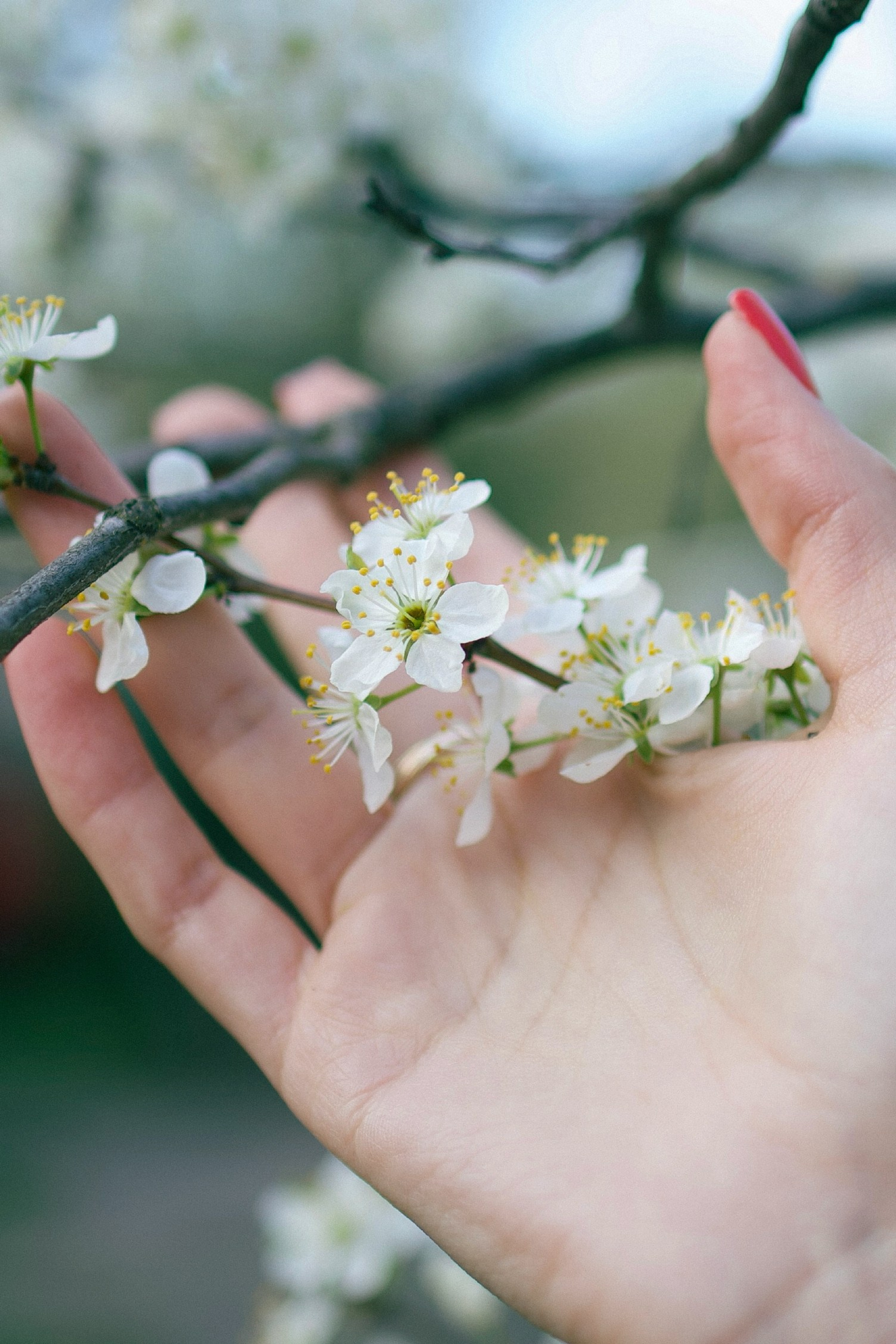Nastya. Фотограф Кострома Алёна Соловьёва