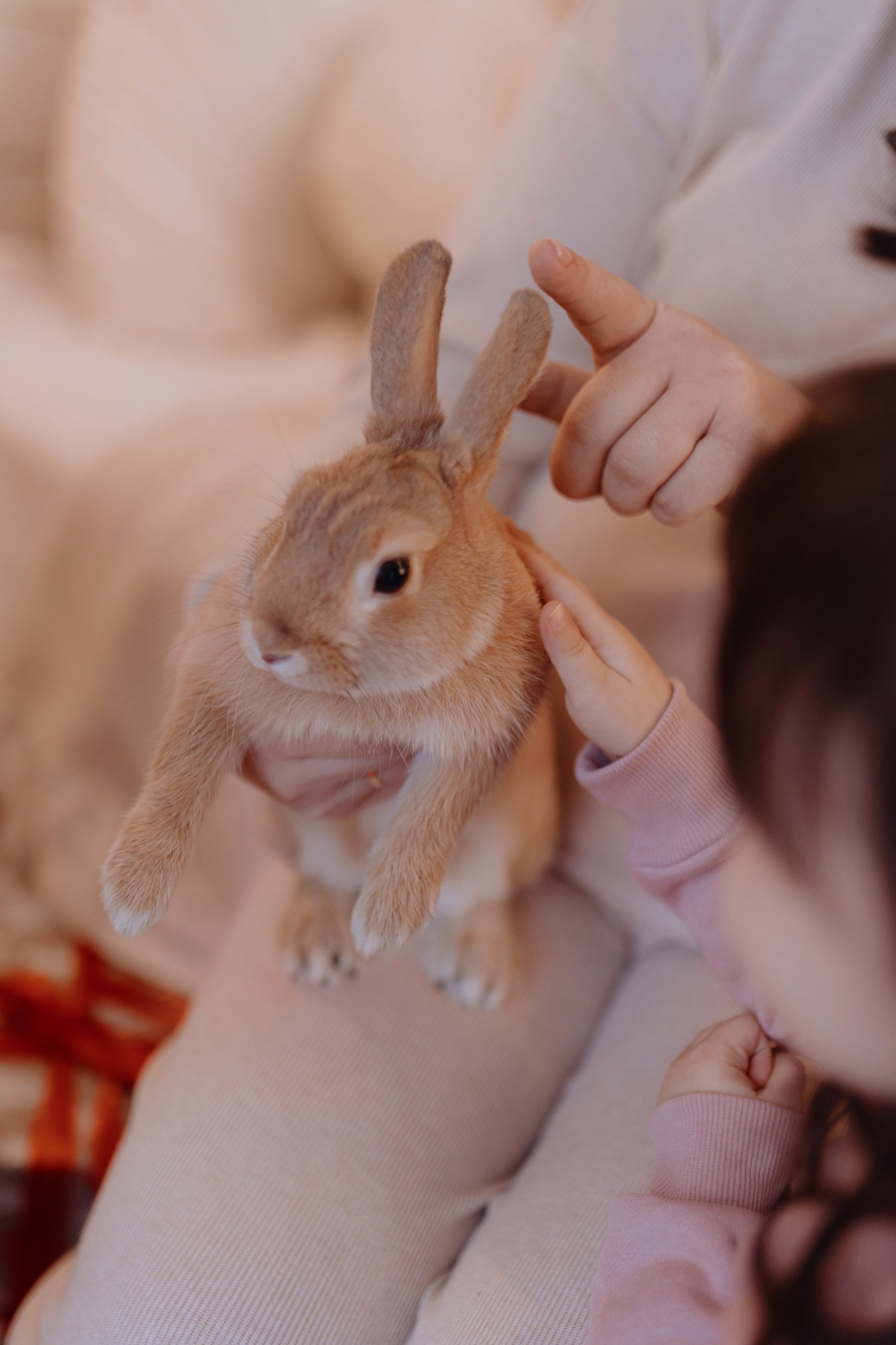 семейный портрет с детьми в светлой студии