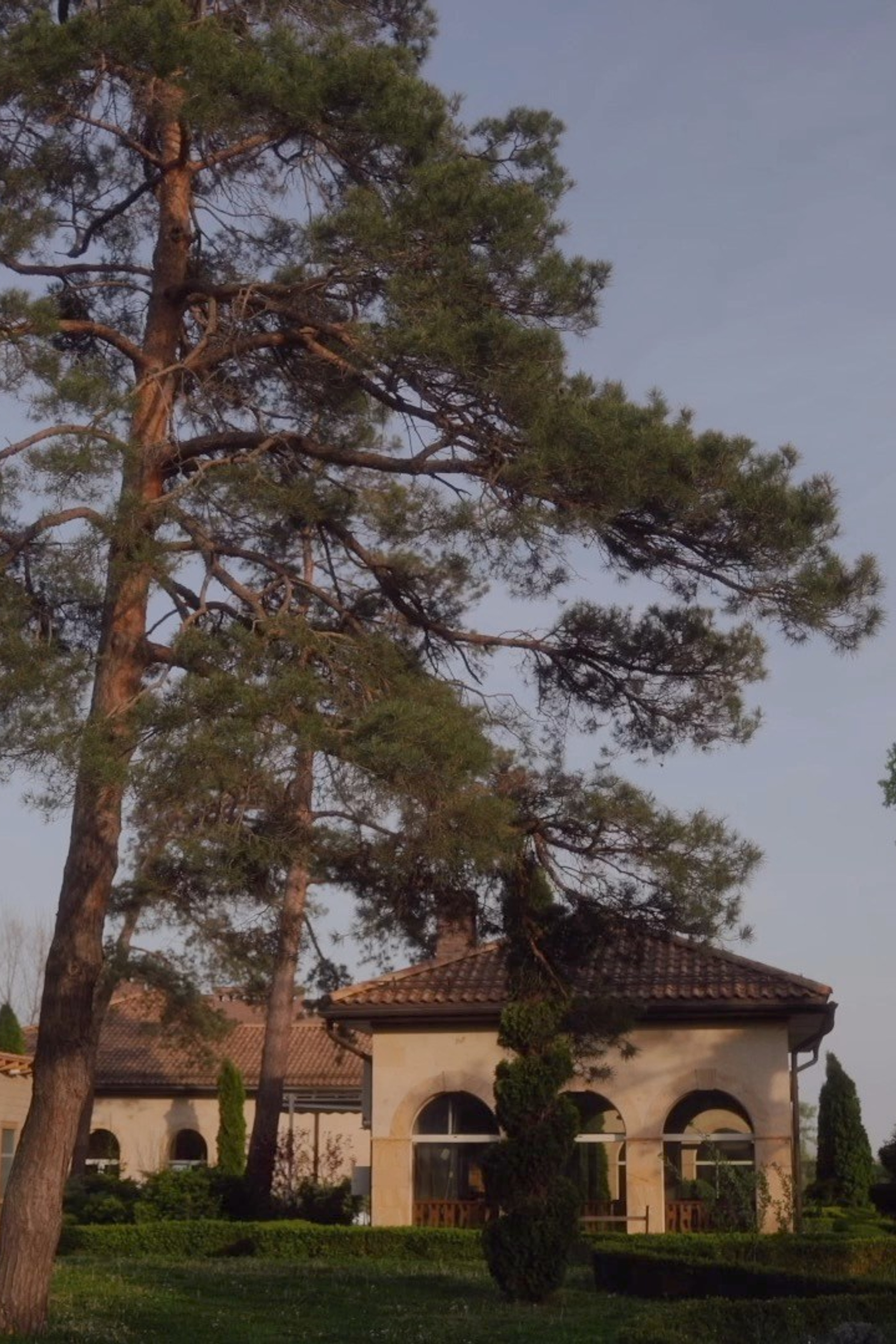 ИСТОРИИ. Агата Акварель видеограф Сочи Краснодар