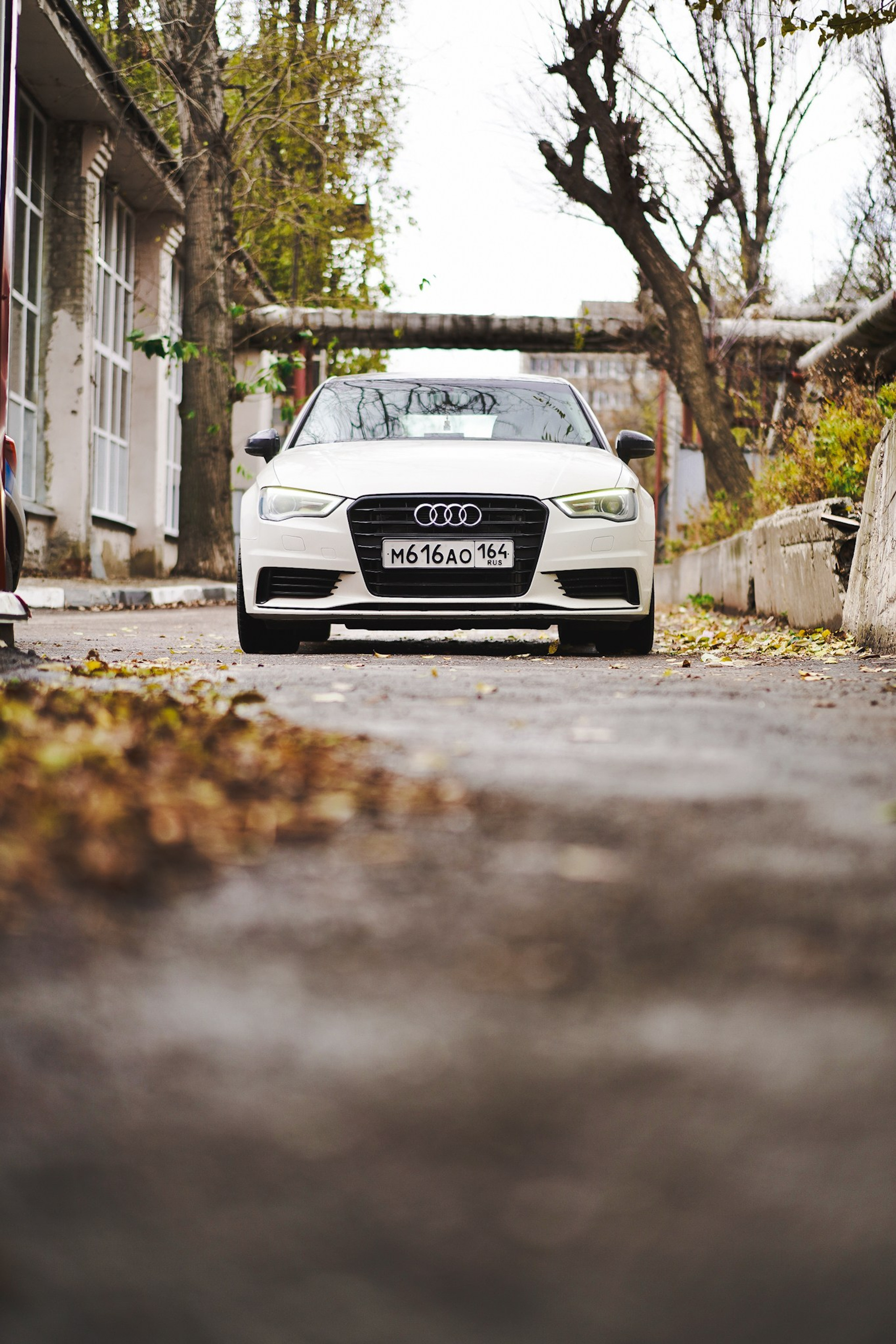 Тюнинг выхлопной системы на Audi A3. Провыхлоп — Тюнинг и ремонт выхлопных систем в Саратове