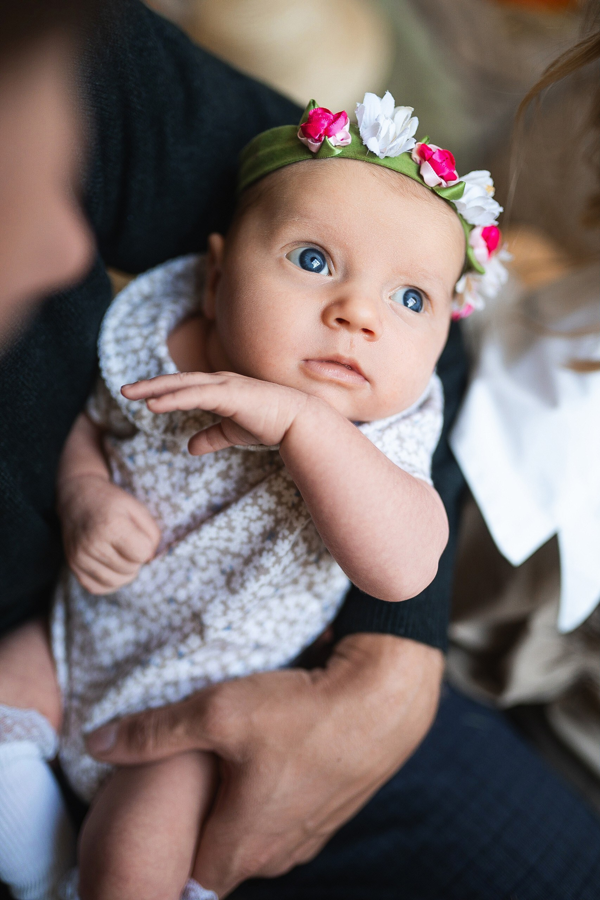 Мандрагора. Фотограф и видеограф Евгений Романов Санкт-Петербург