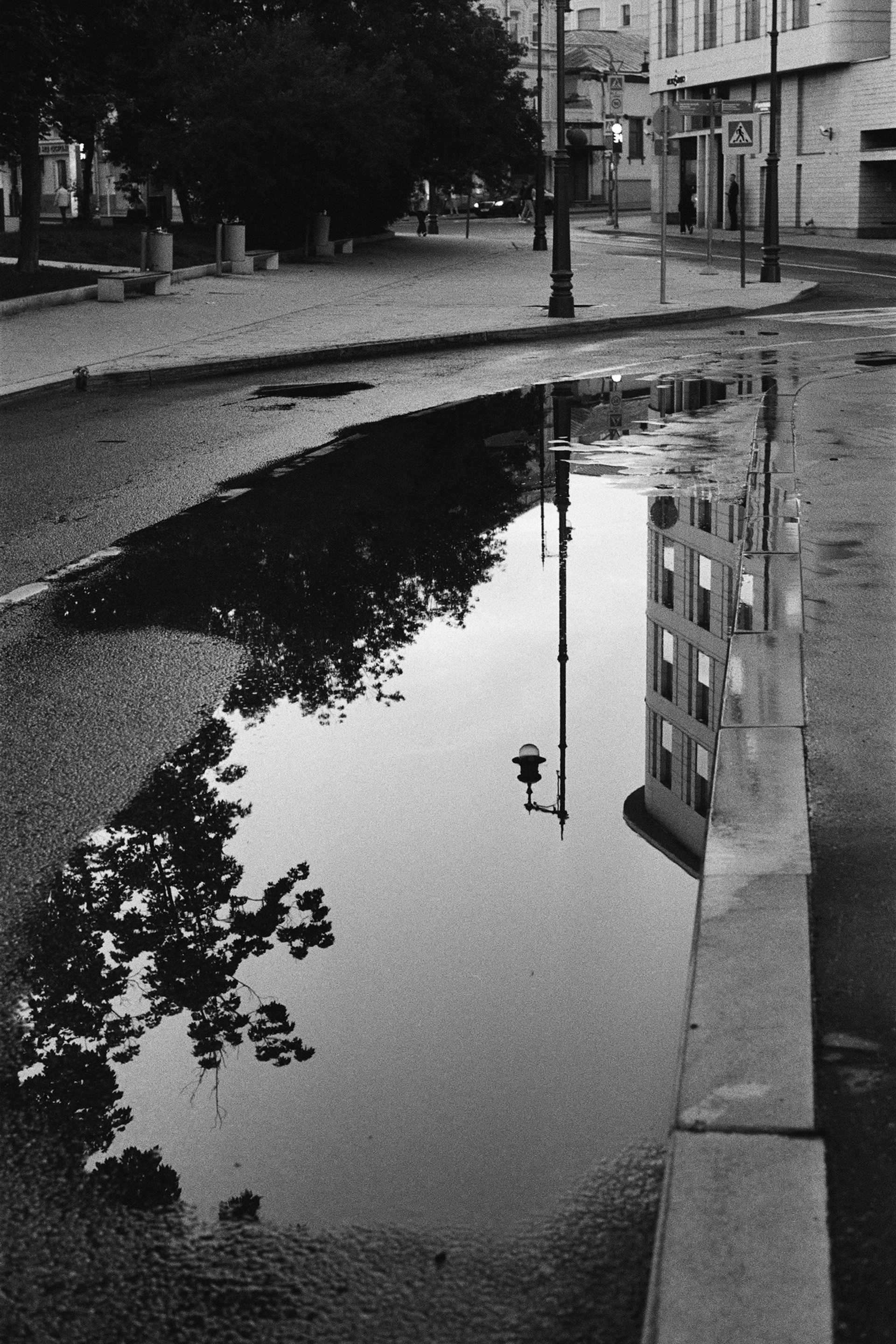 A series of photographs. Another person Pavel Potseluev. A photographer in 2025