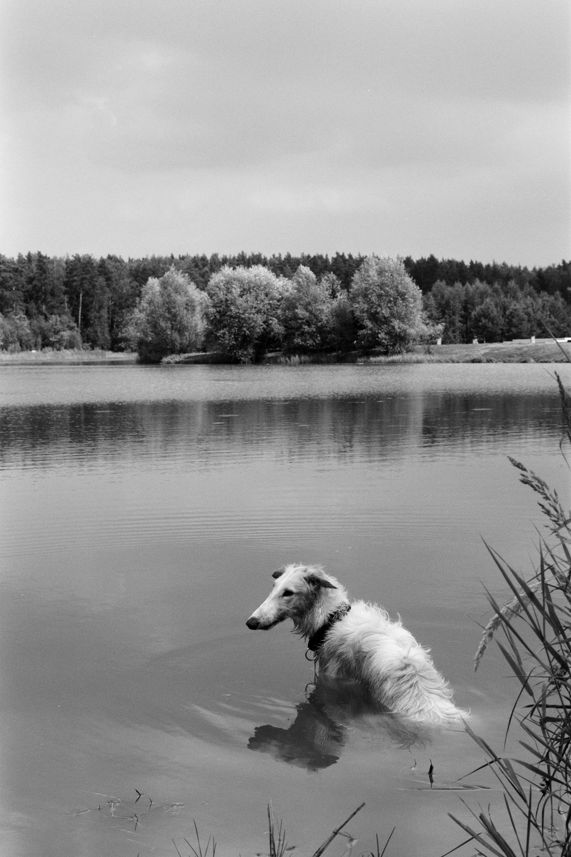 A series of photographs. Another person Pavel Potseluev. A photographer in 2025