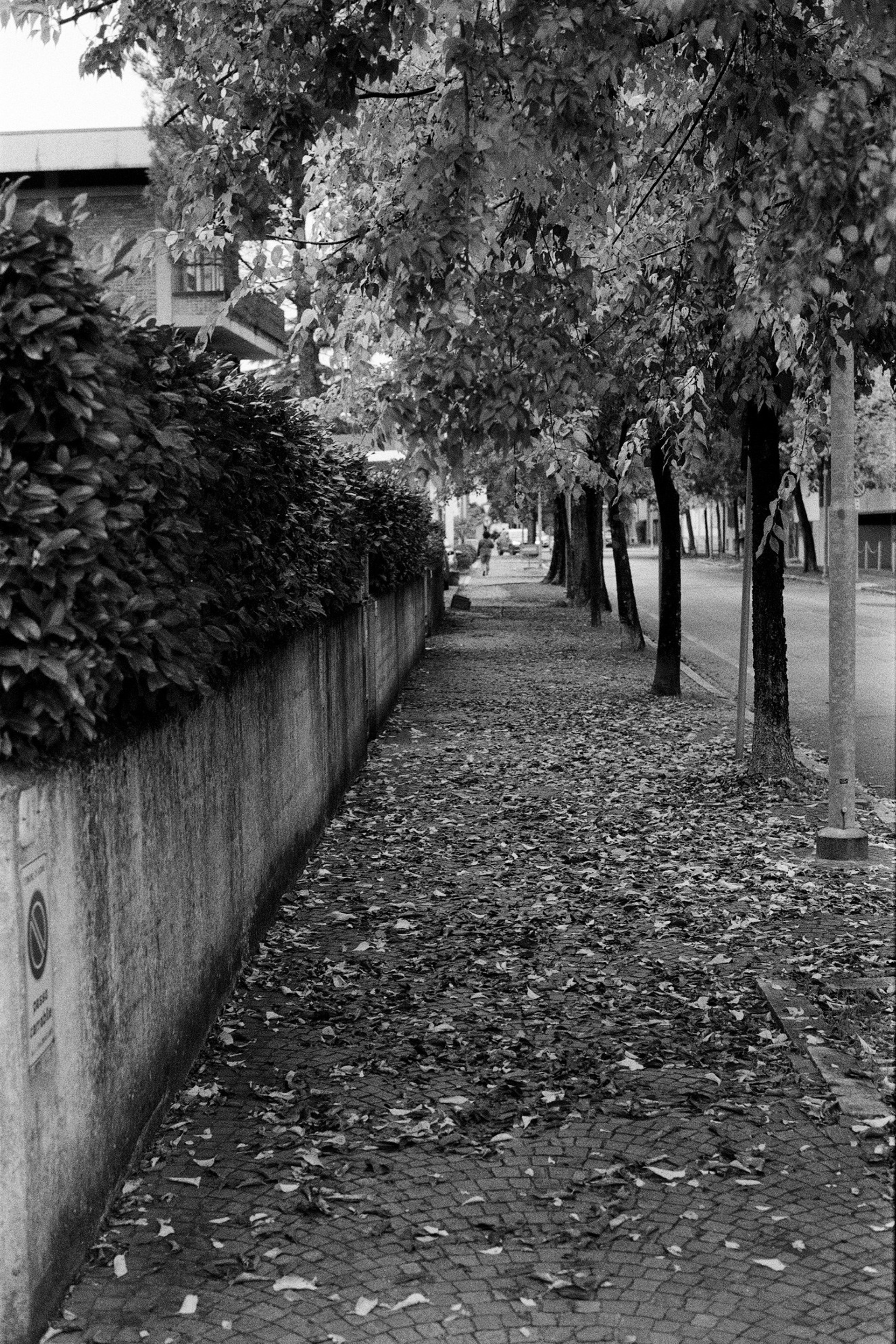 Another person Pavel Potseluev. A photographer in 2025