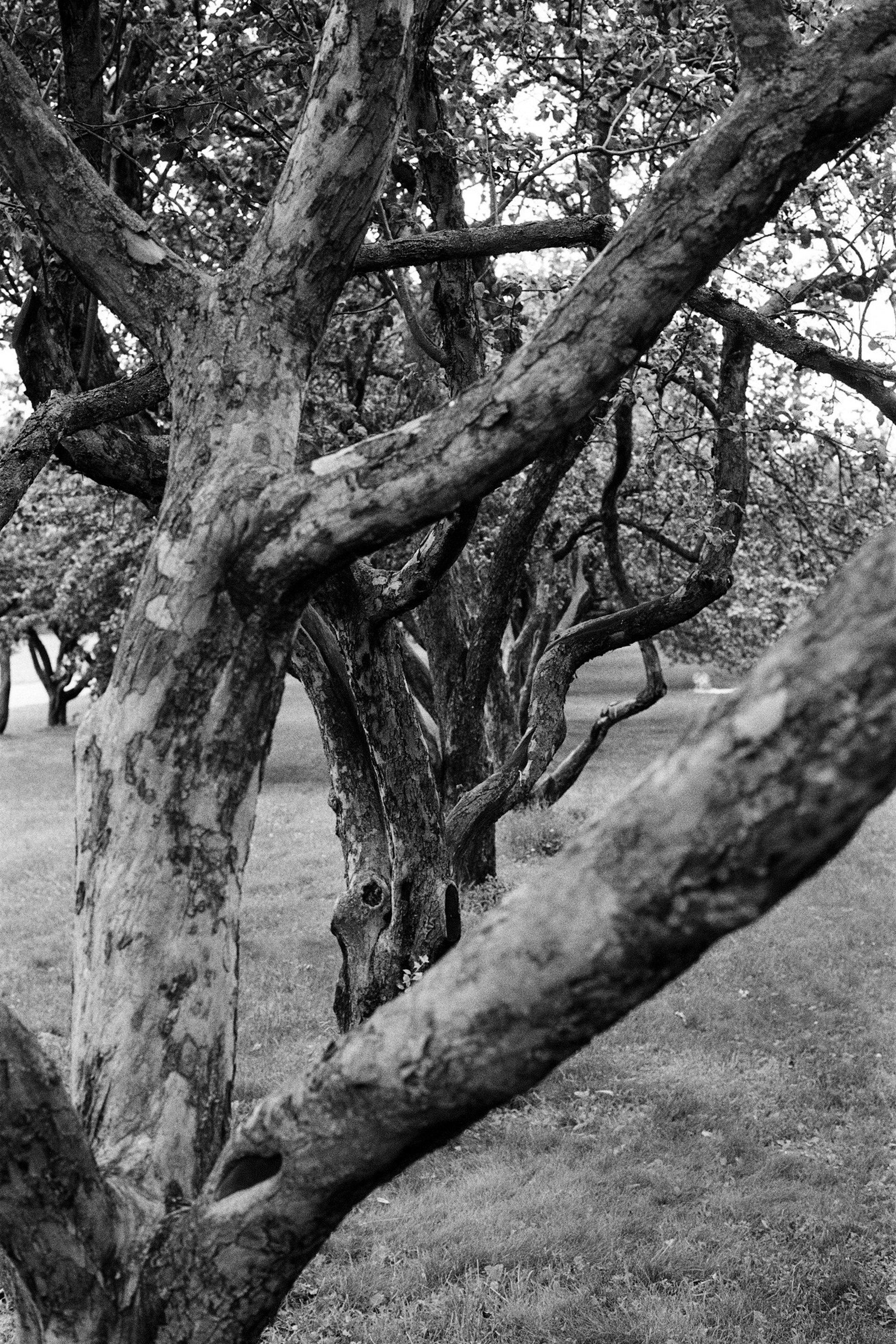 A series of photographs. Another person Pavel Potseluev. A photographer in 2025