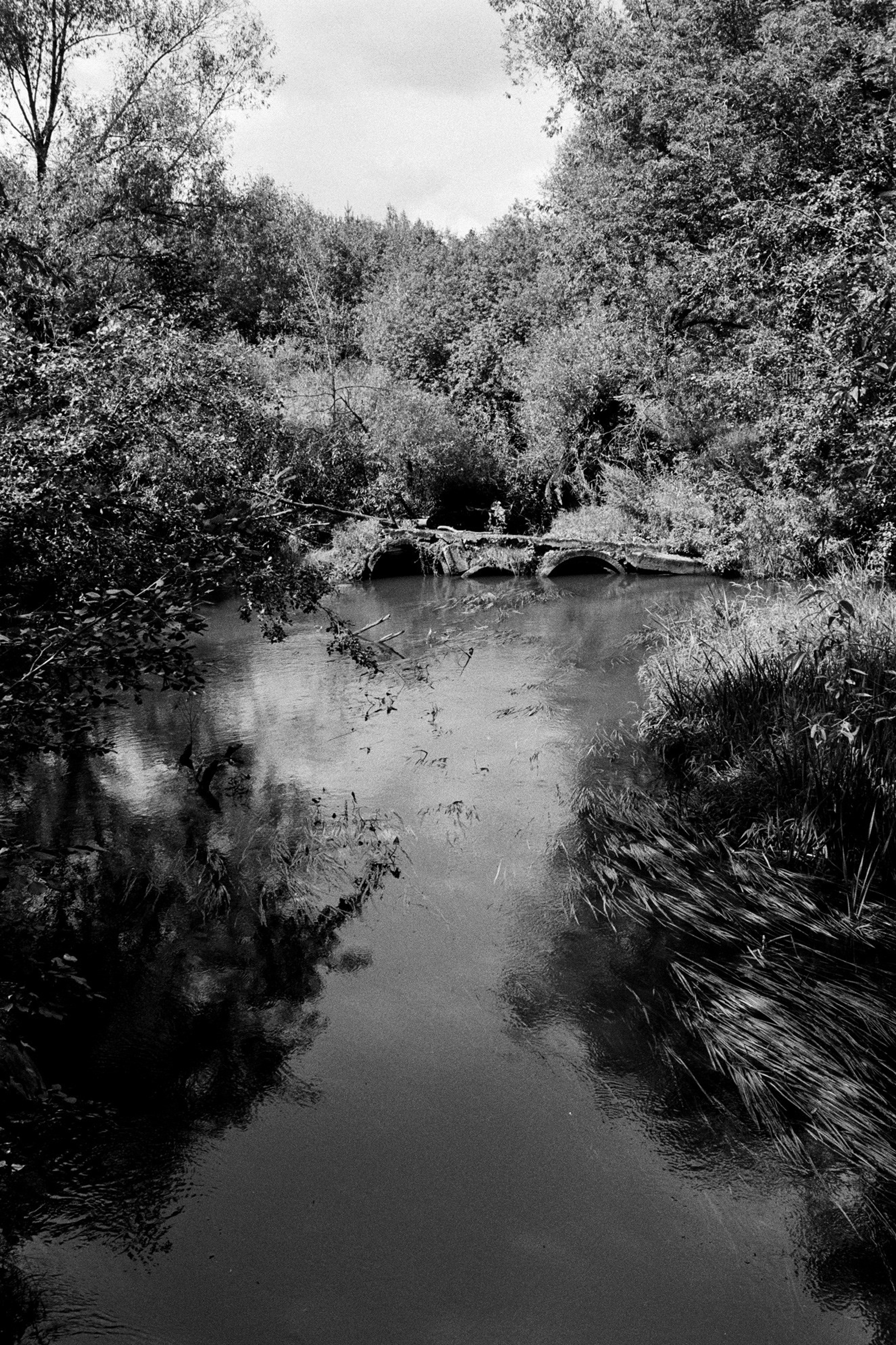 Серия фотографий. Другой Павел Поцелуев. Фотограф в 2025 году