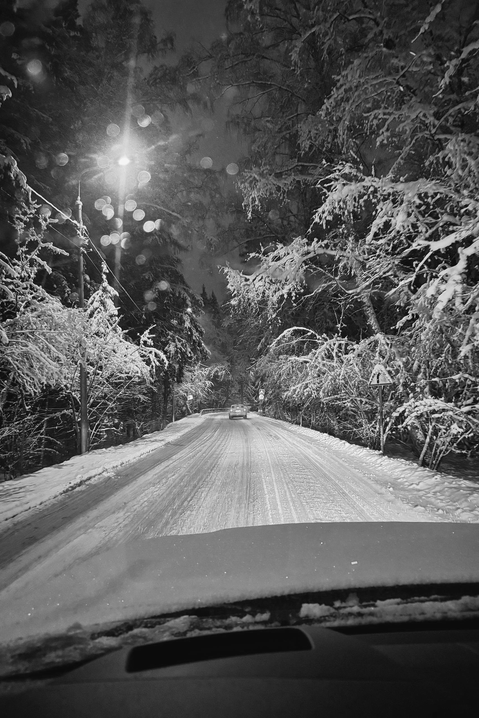 Another person Pavel Potseluev. A photographer in 2026