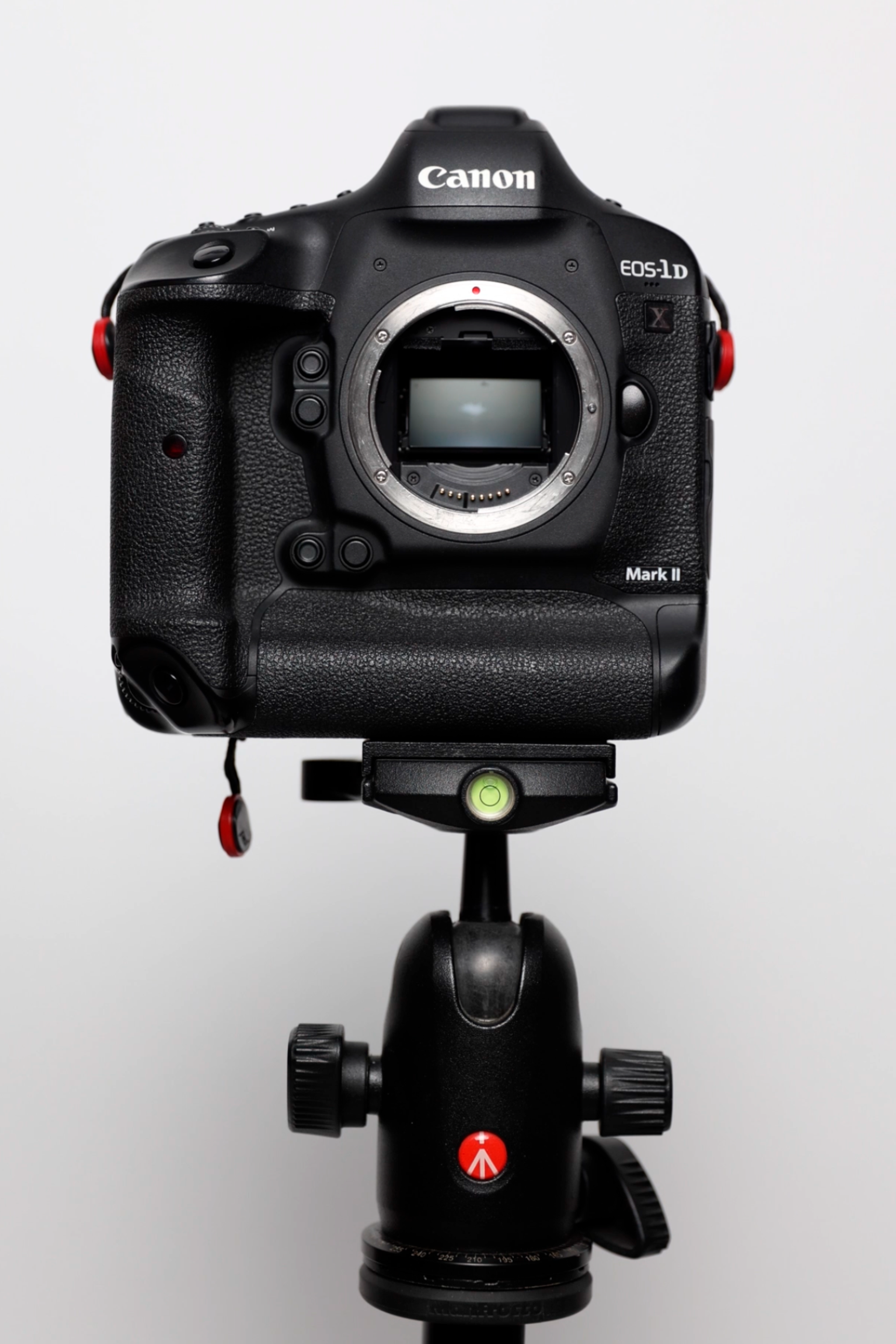 Блог. Фотограф Александр Бормотин