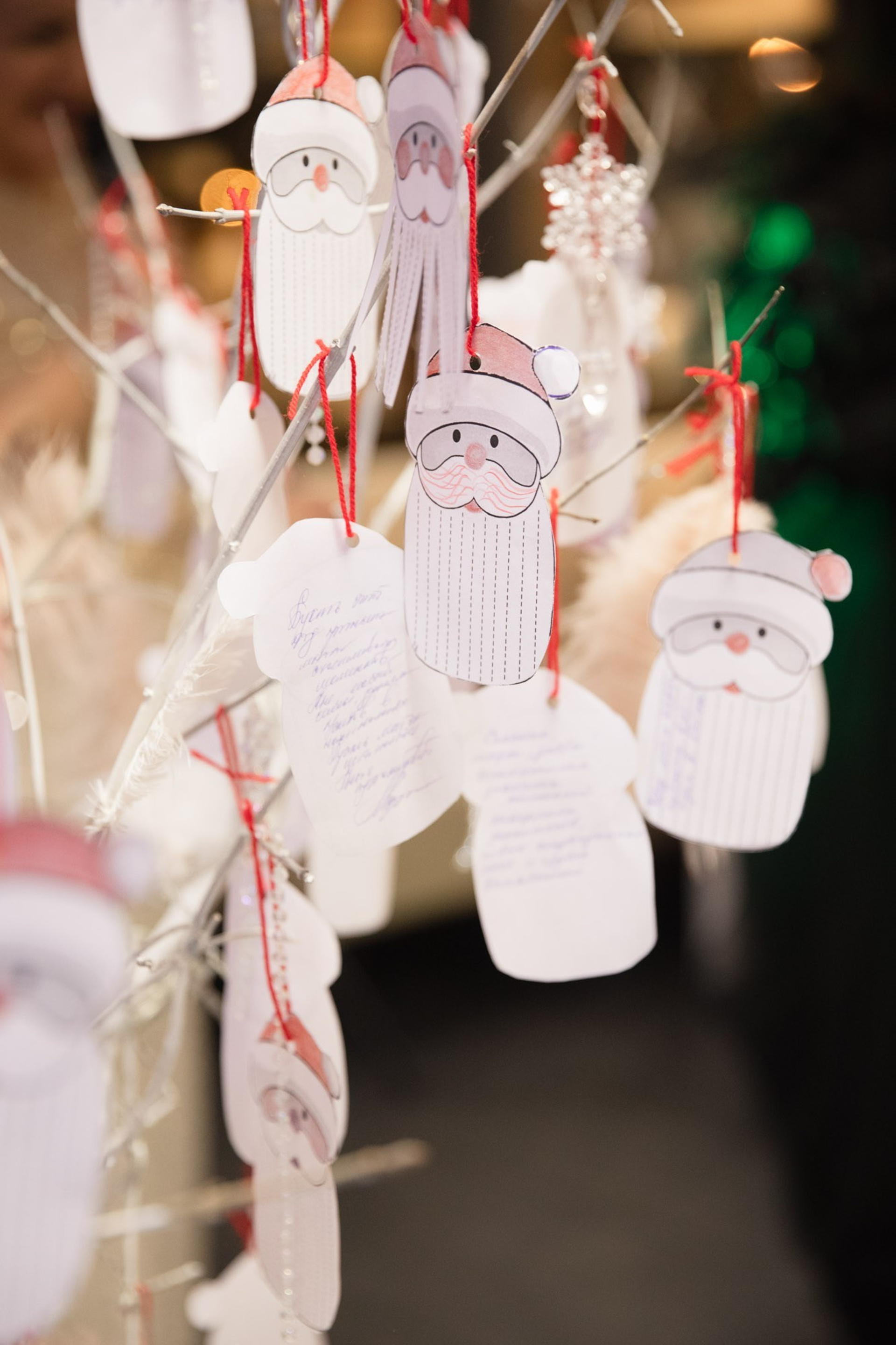 Отзывы. Контент фотограф в Санкт-Петербурге Ольга Веревкина. Фотопрогулки СПб