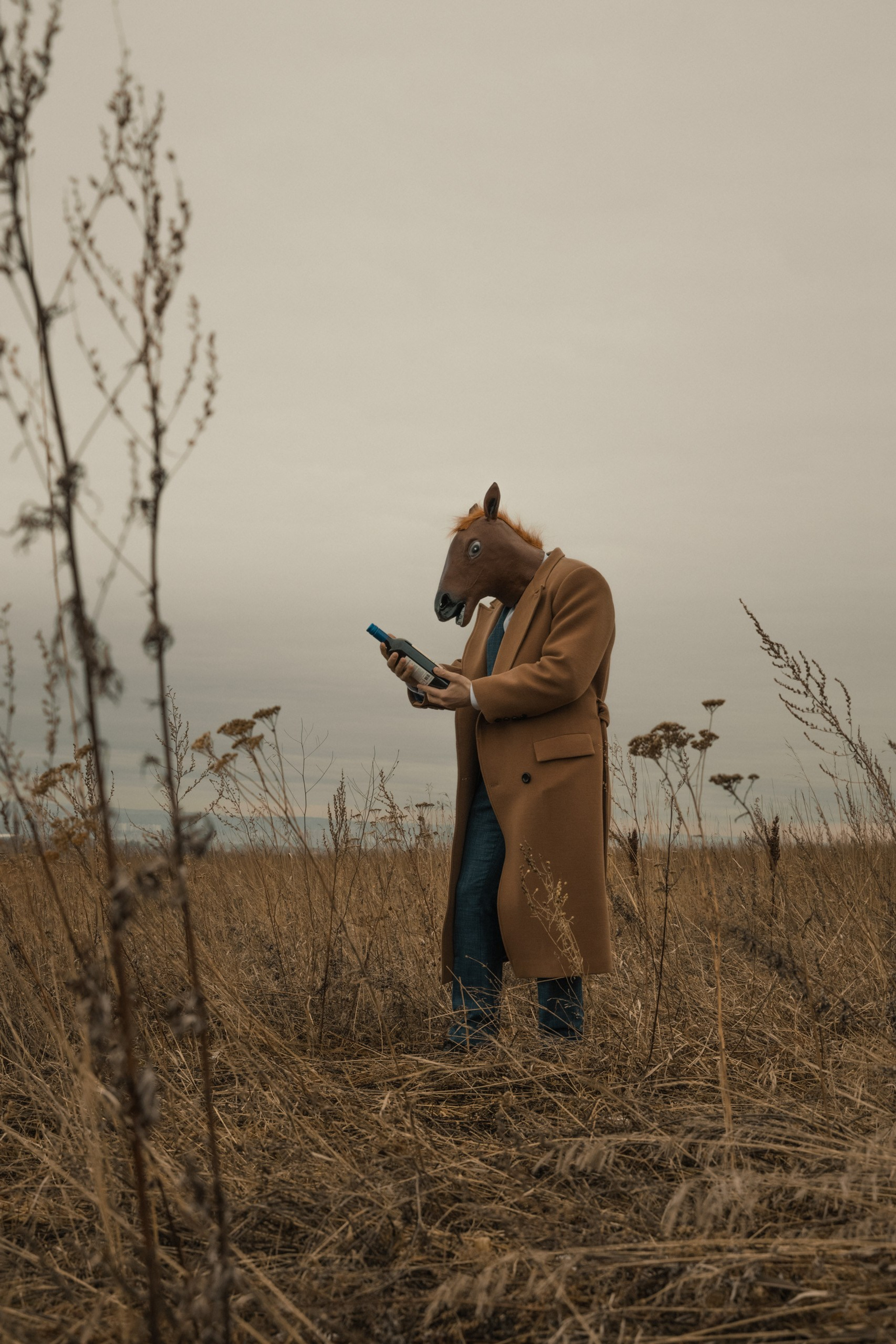 Конь в пальто, фотограф Джим Кривош