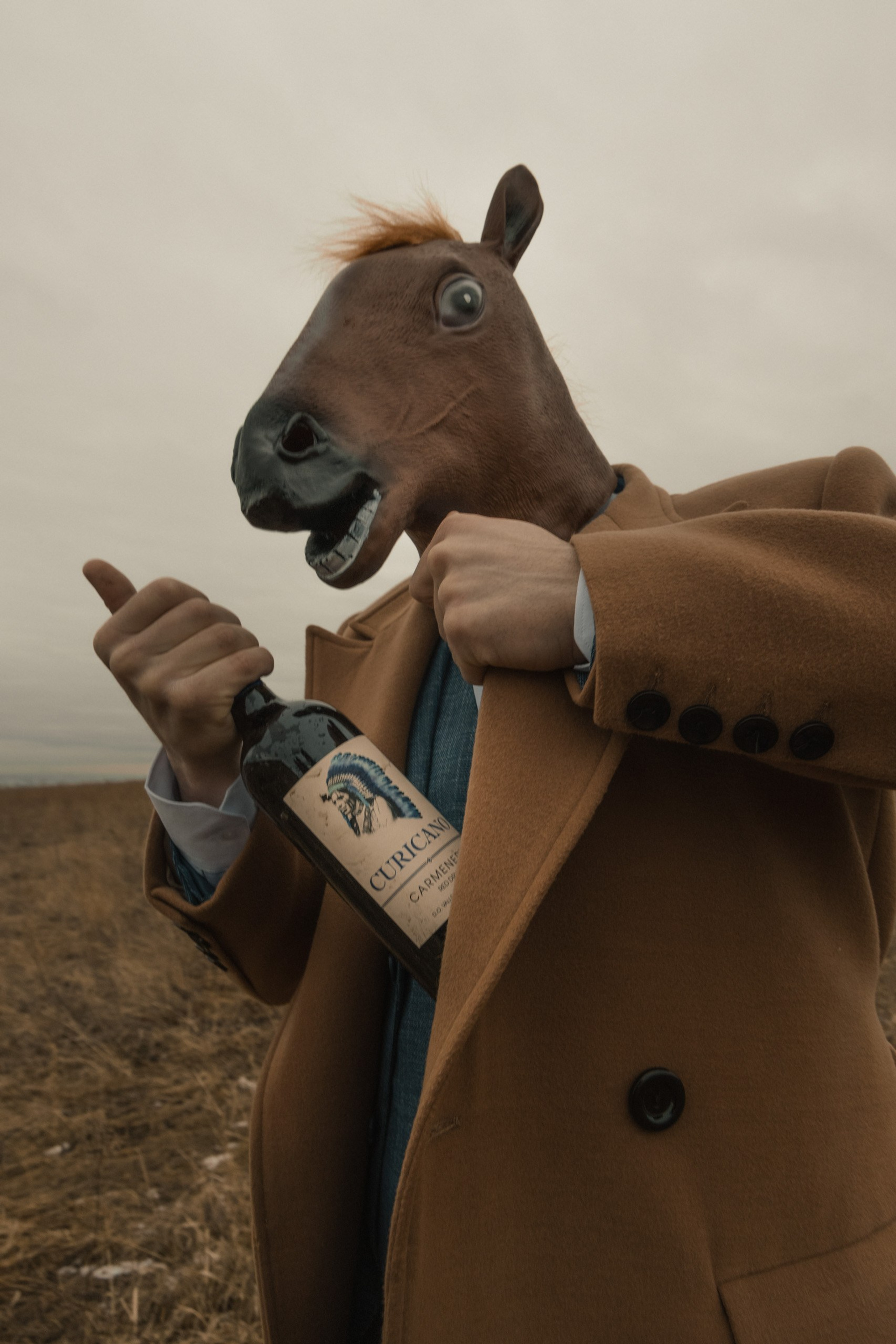 Конь в пальто, фотограф Джим Кривош