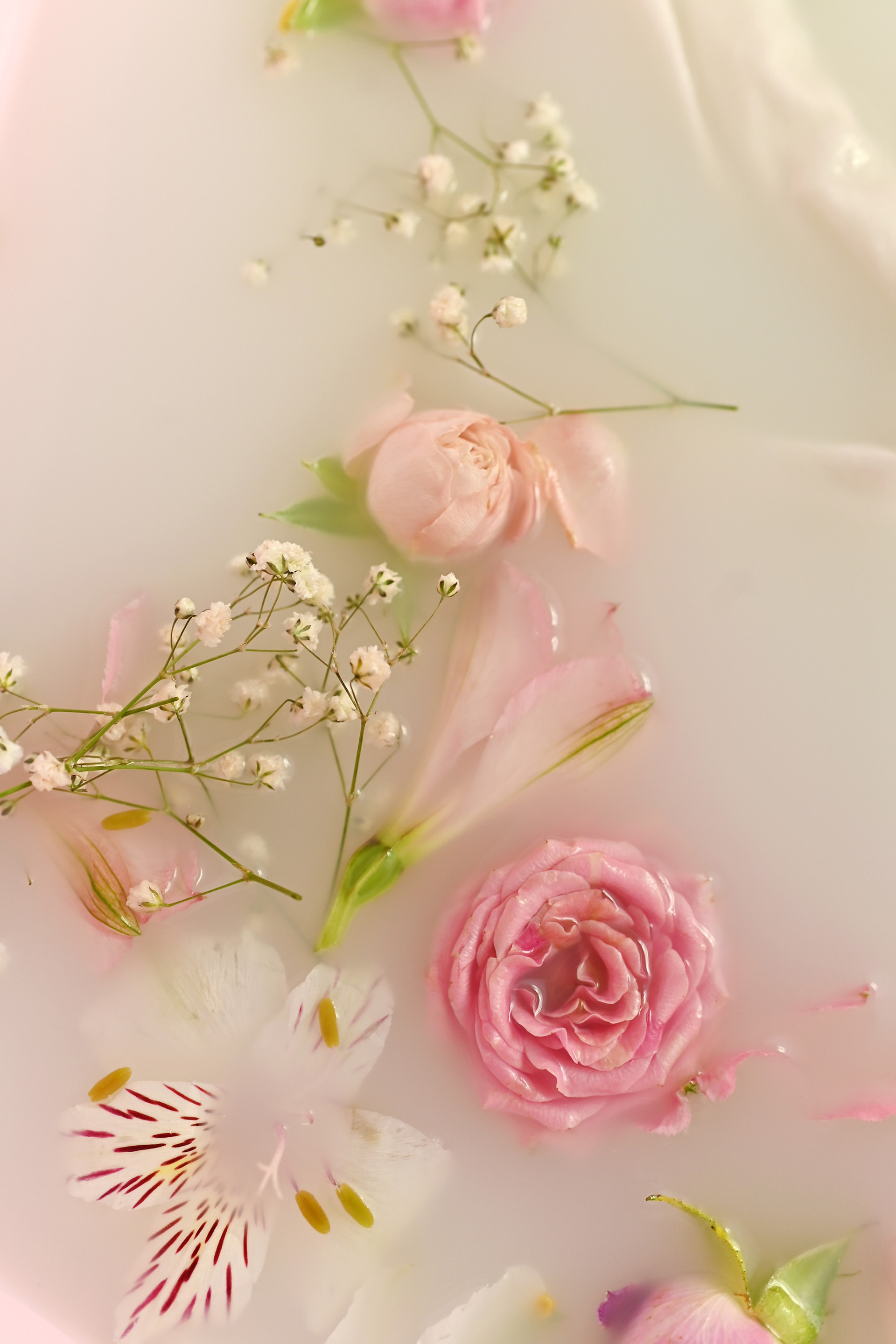 Отзывы. Фотограф новорождённых Абакан Марина Дейнюк