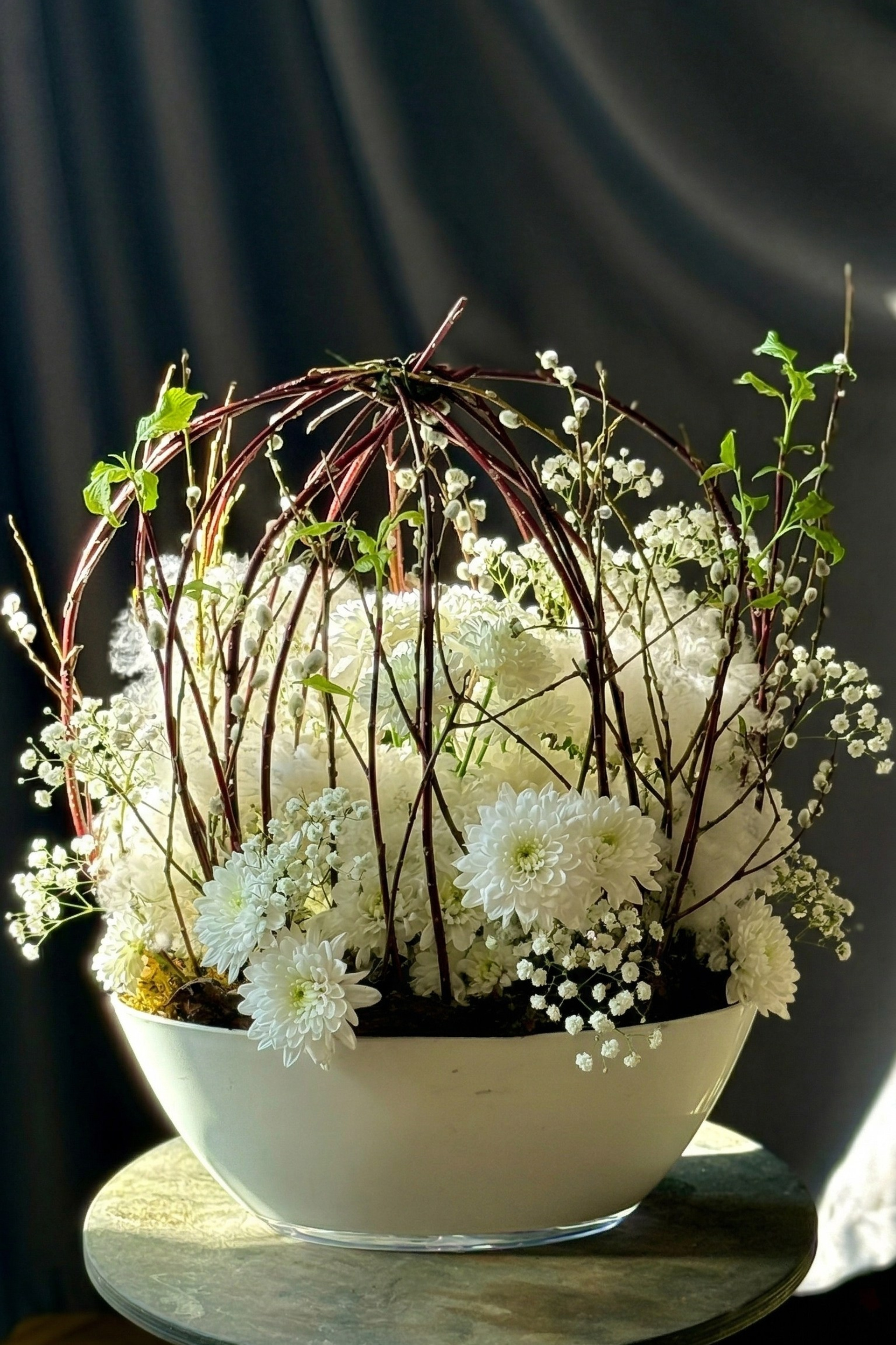 Истории. CKflora