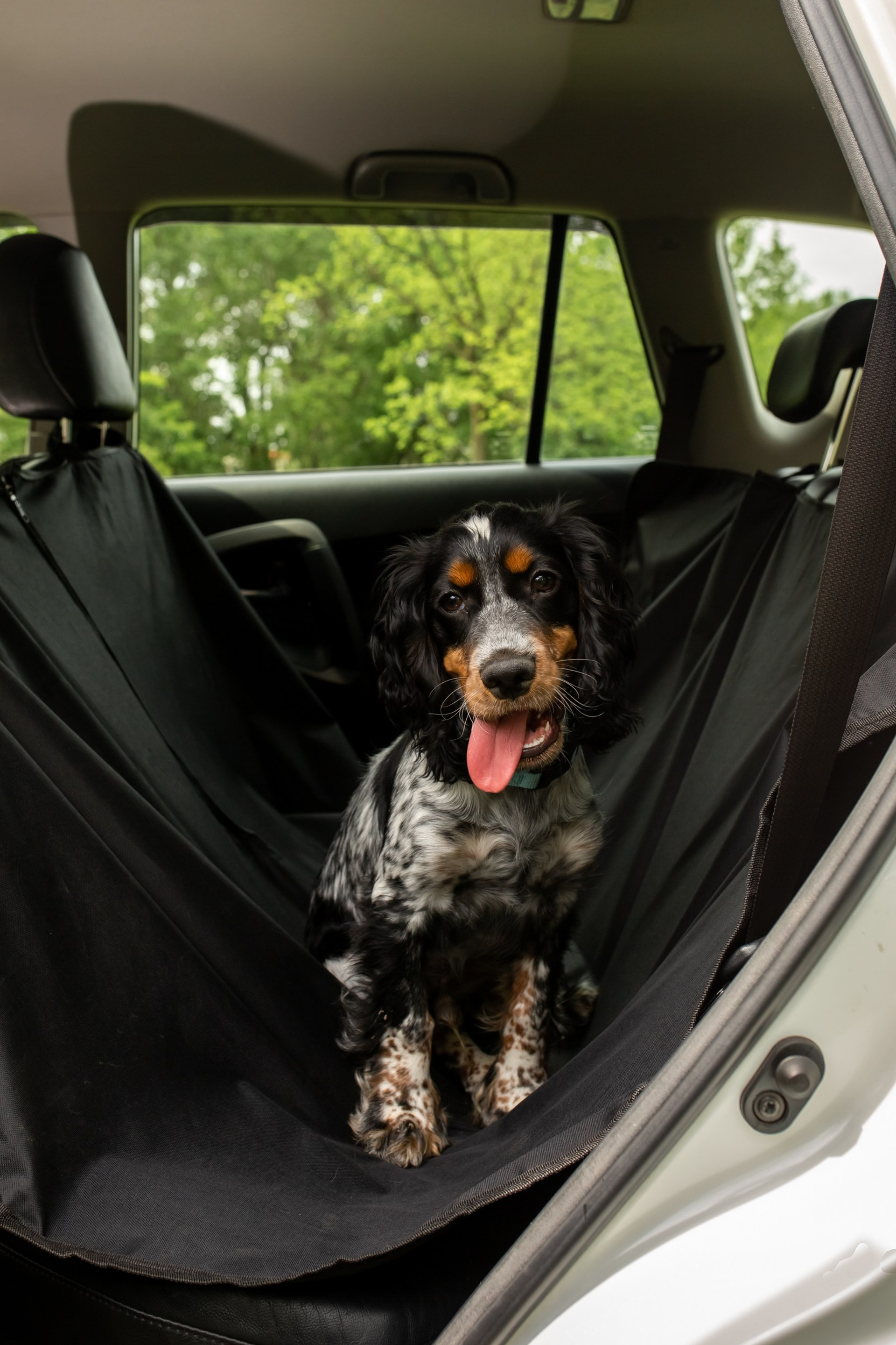 Авто-гамак для животных. Фотограф под ключ для брендов и бизнеса | Фото и видео для брендов | А где фотки?