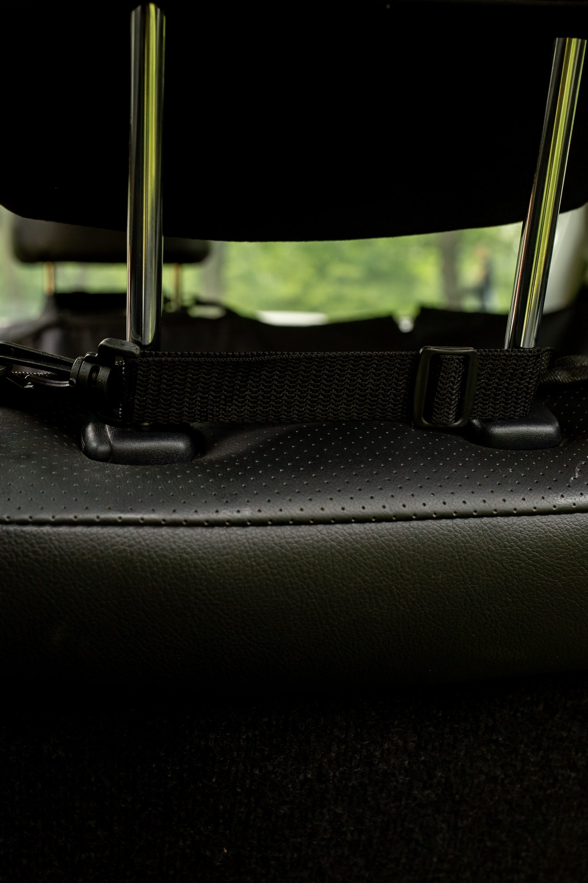 Авто-гамак для животных. Фотограф под ключ для брендов и бизнеса | Фото и видео для брендов | А где фотки?