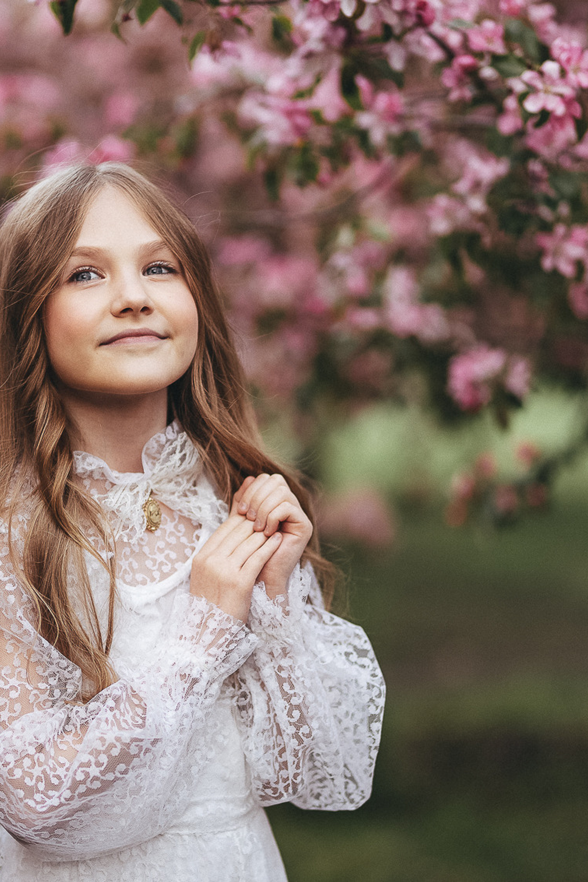 Цветение яблони, Коломенское