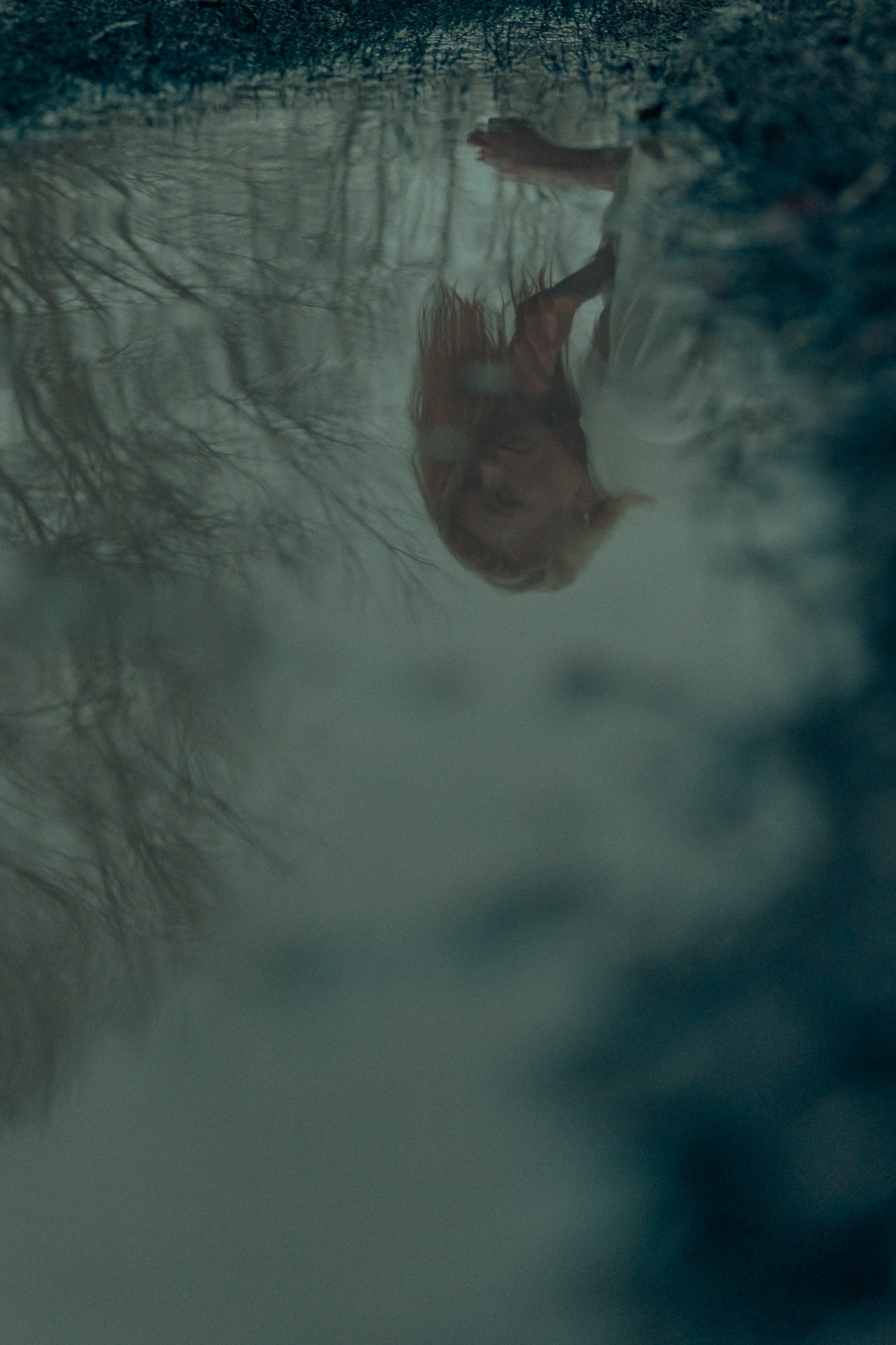 Рассветная съемка в поле Самара. Предметный фотограф Самара