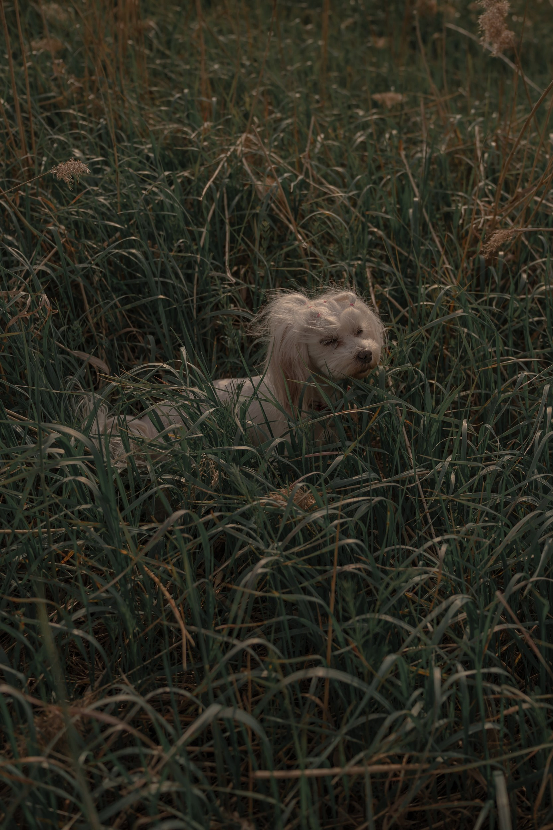 Индивидуальная фотосессия Самара. Предметный фотограф Самара