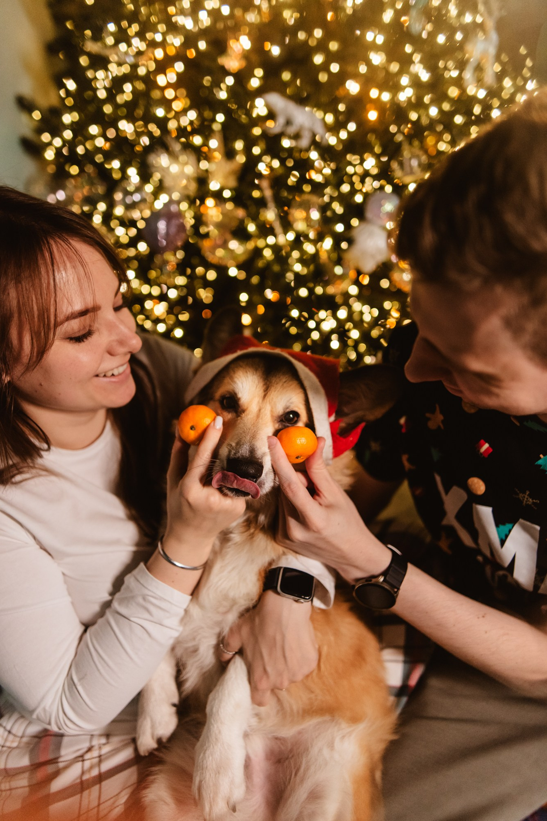 Фотосессии, проведенные недавно. Семейный и детский фотограф в Санкт-Петербурге Татьяна Дмитренко