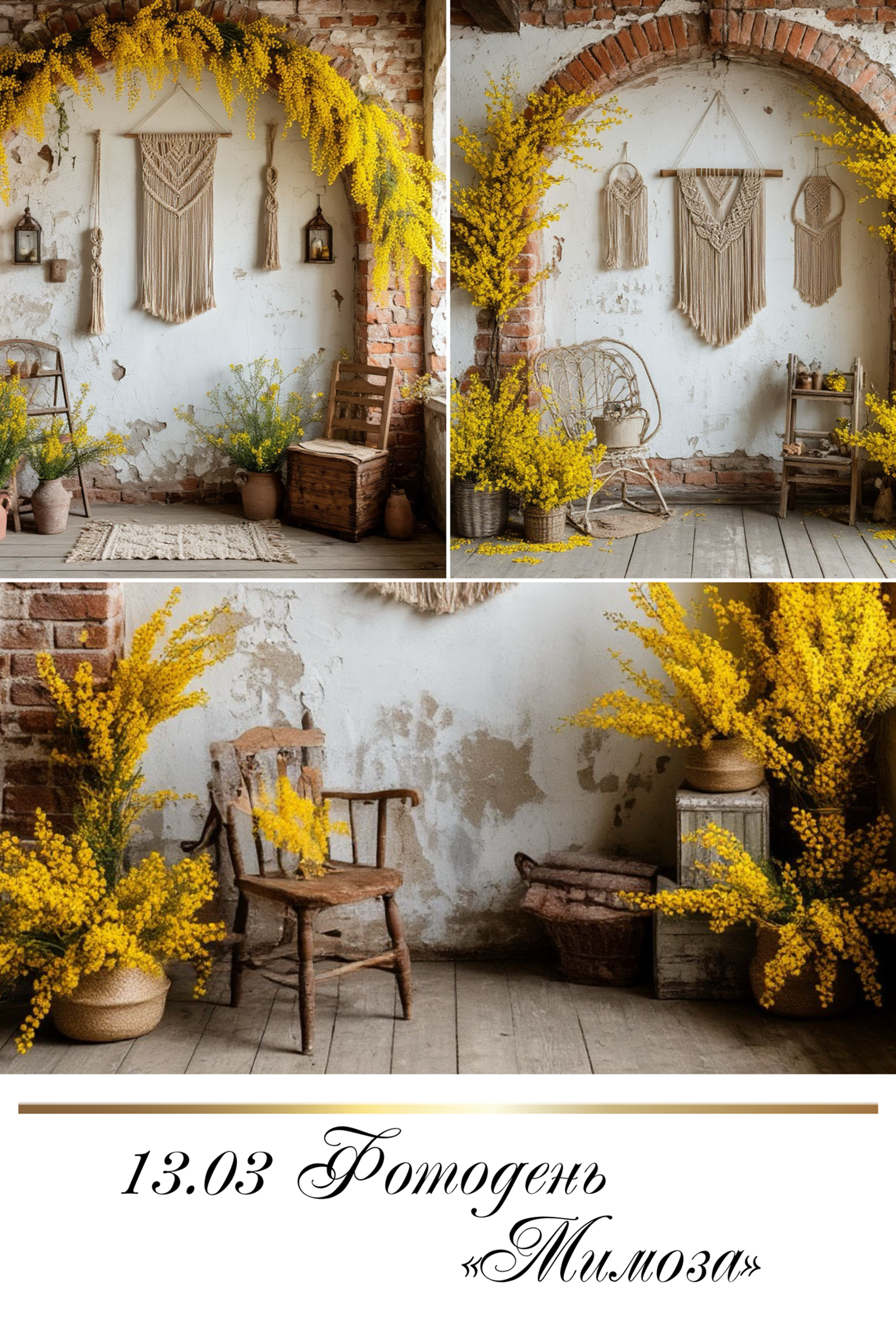 АНОНС ФОТОДНЕЙ. Семейный и детский фотограф в Красноярске Мила Черкасова