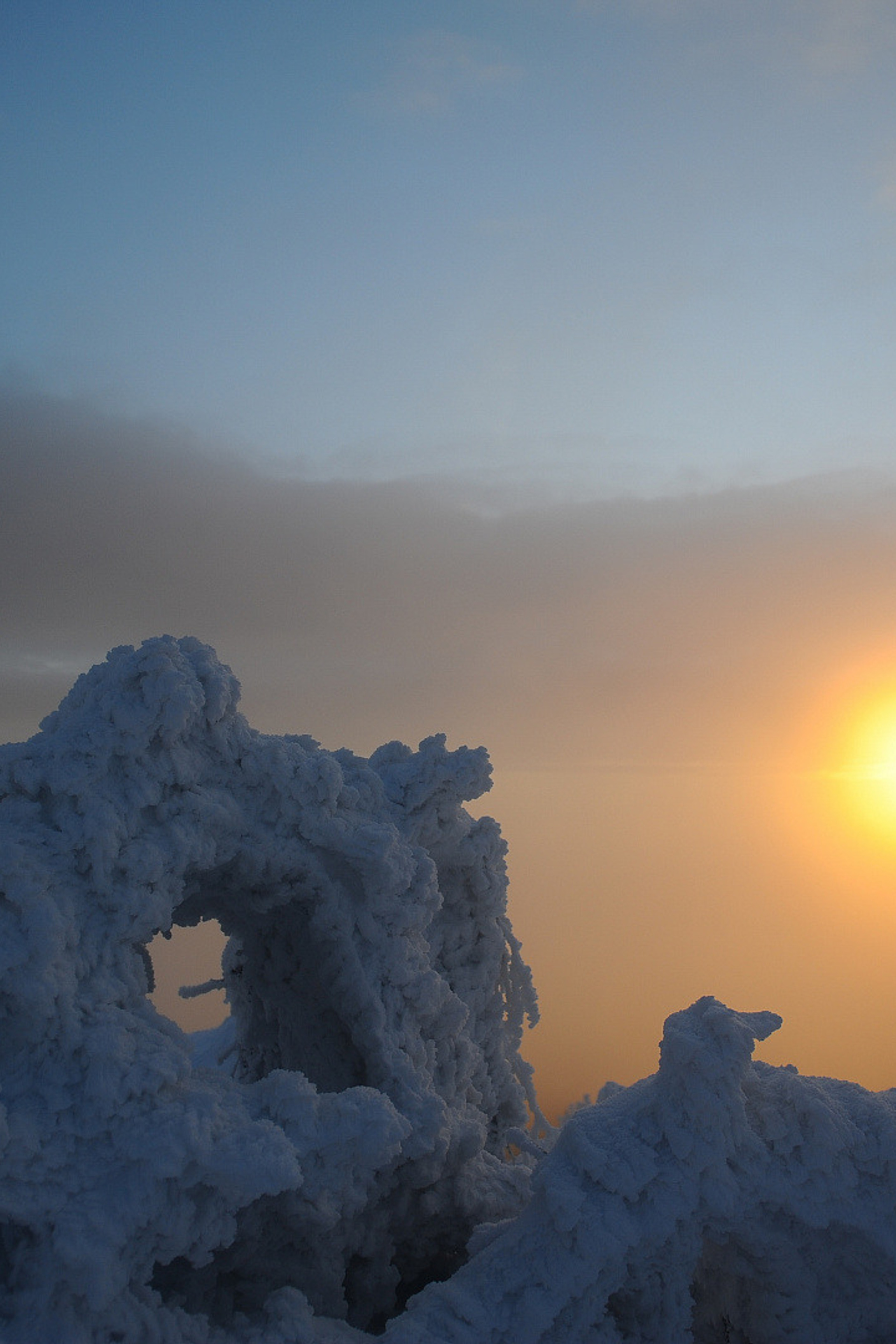 Блог (Blog). Главная (Home)