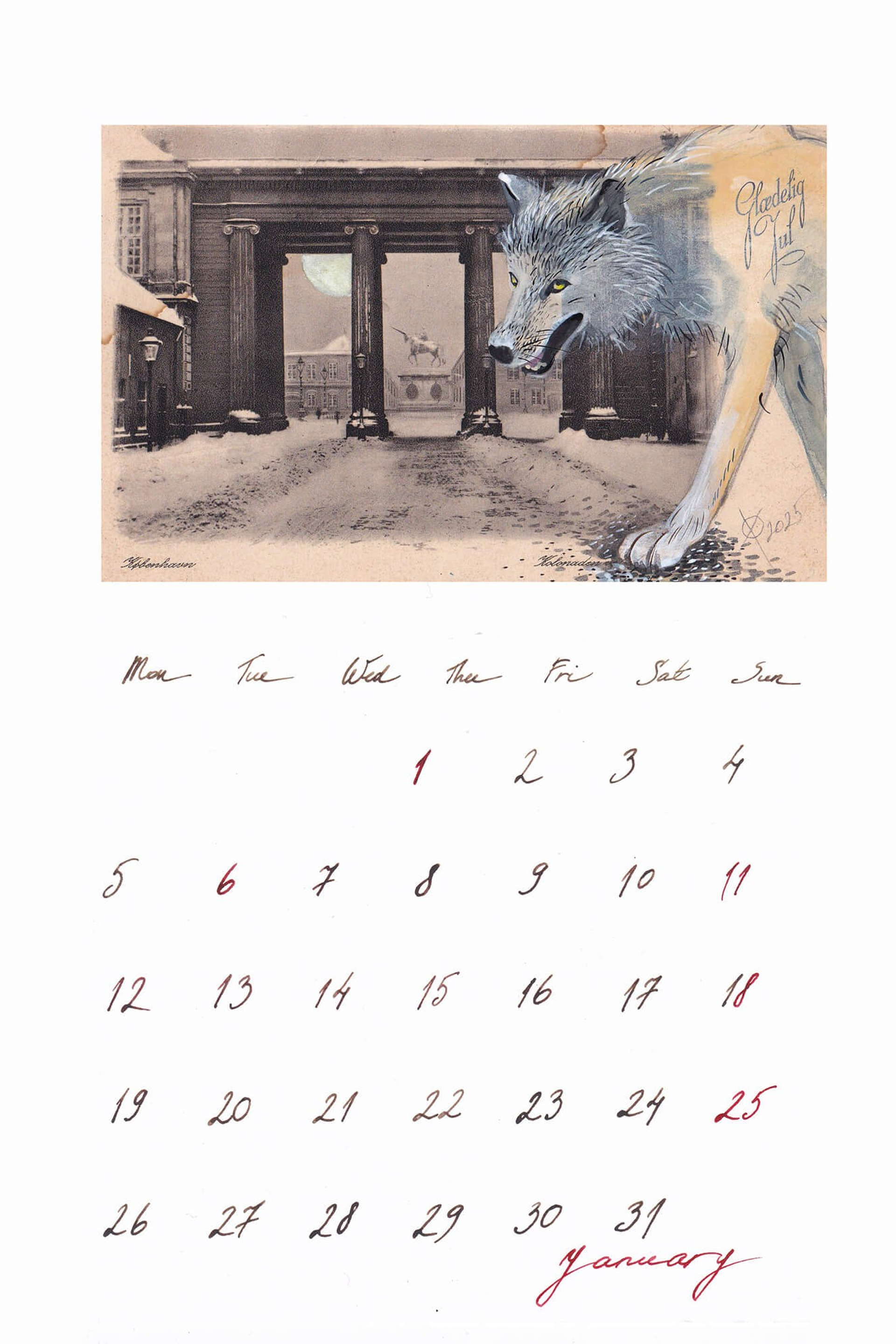 NEWS. Xenia Ostrovskaya