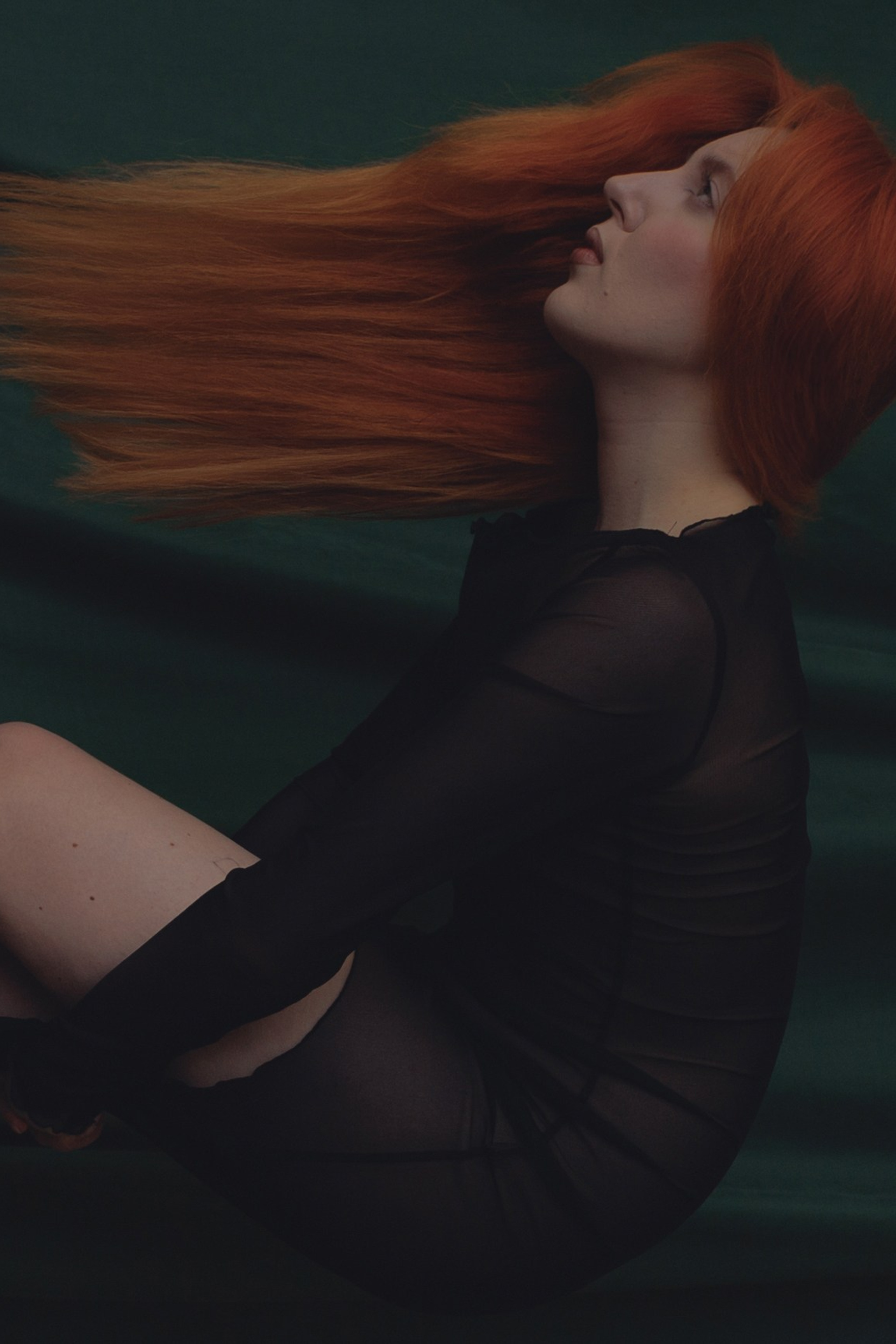 Butterfly in the web. Ларионова Виталина. Фотограф и видеограф в Санкт-Петербурге